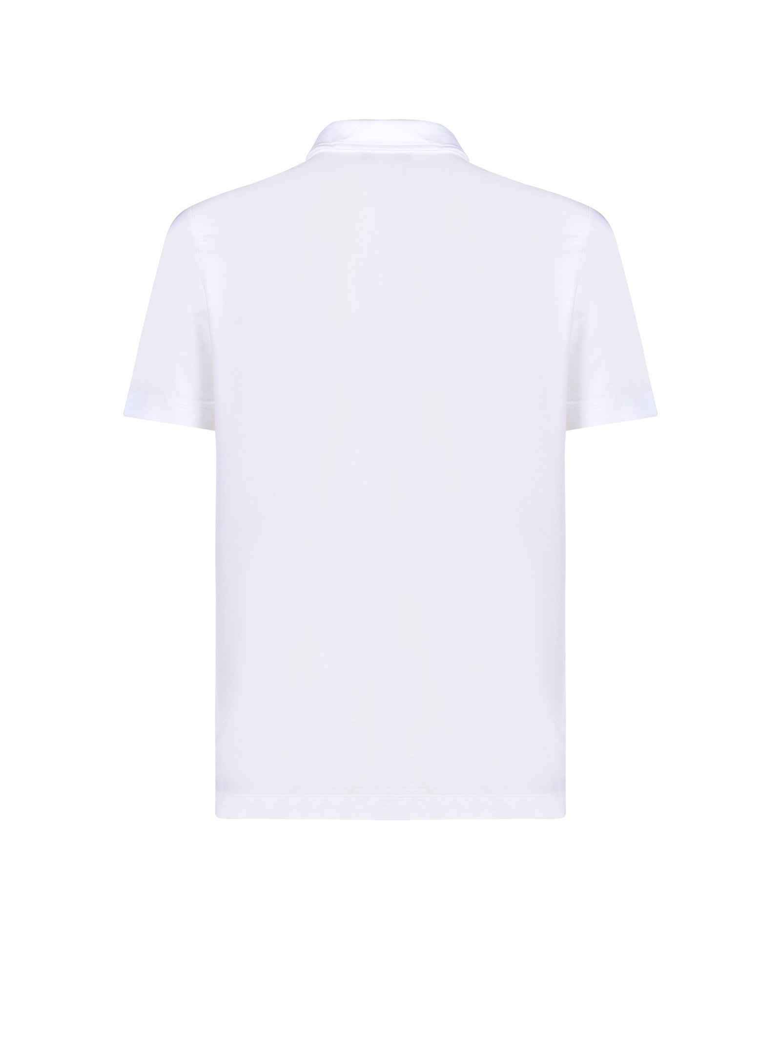 Immagine diapositiva