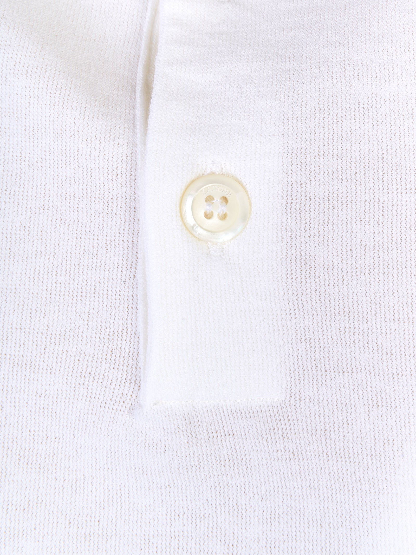 Immagine diapositiva