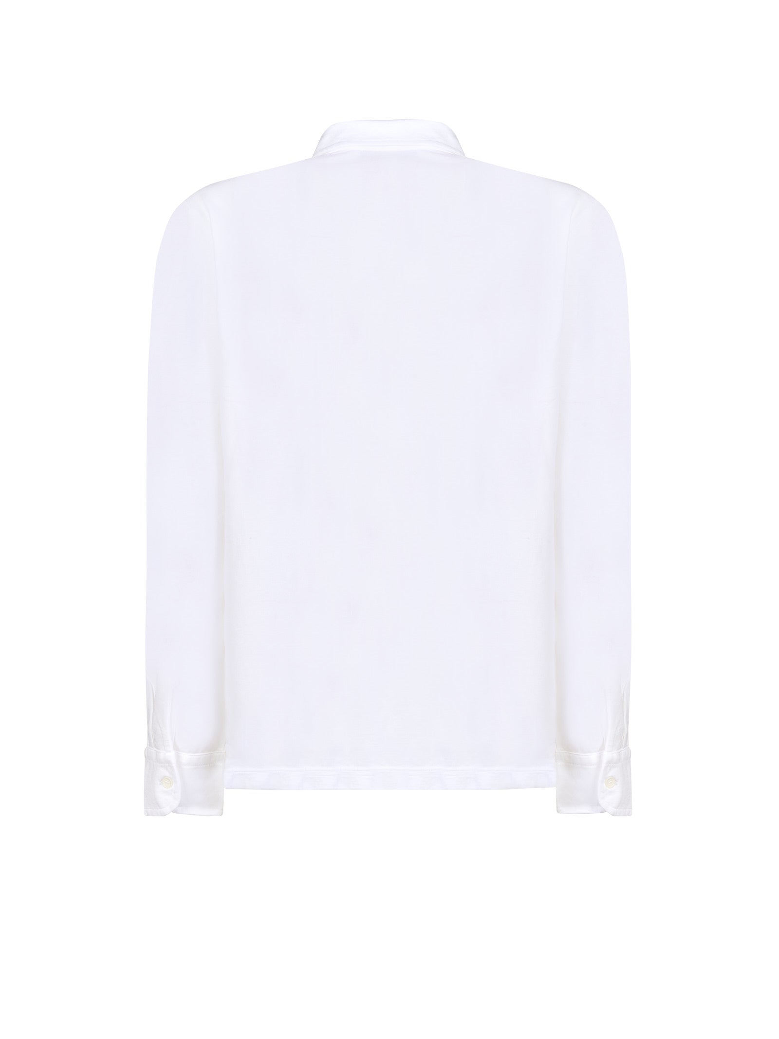 Immagine diapositiva