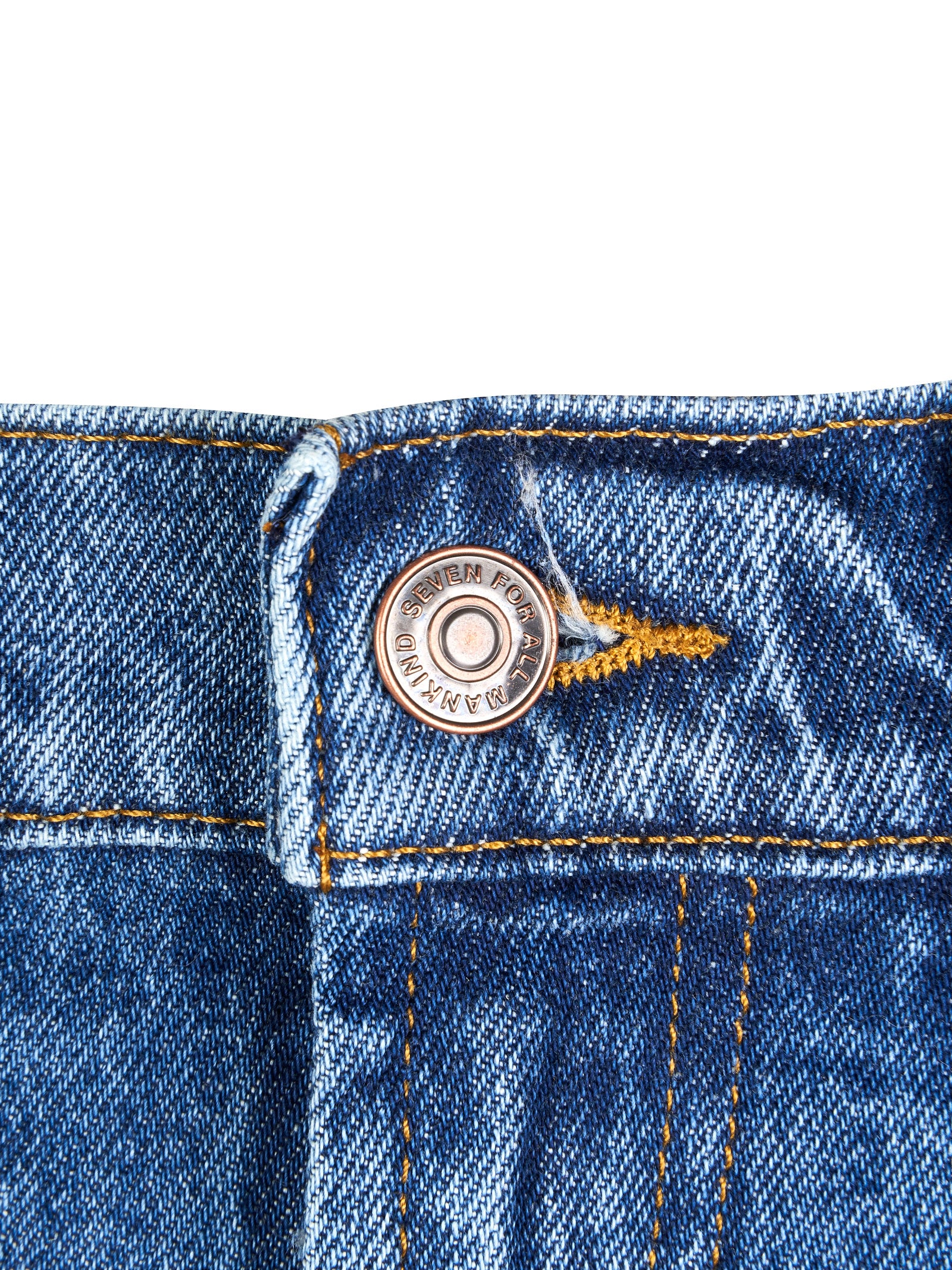 Immagine diapositiva