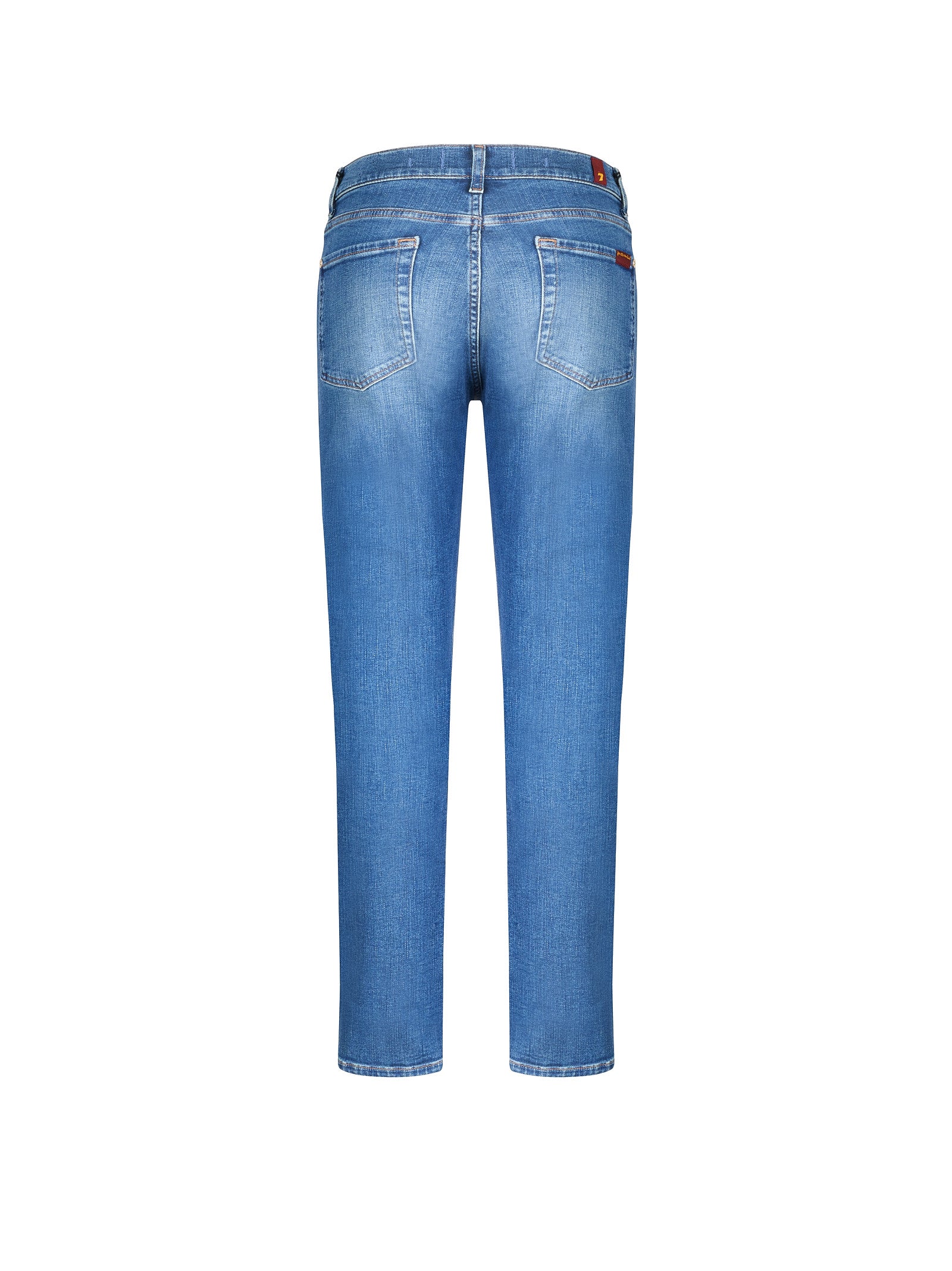 Immagine diapositiva