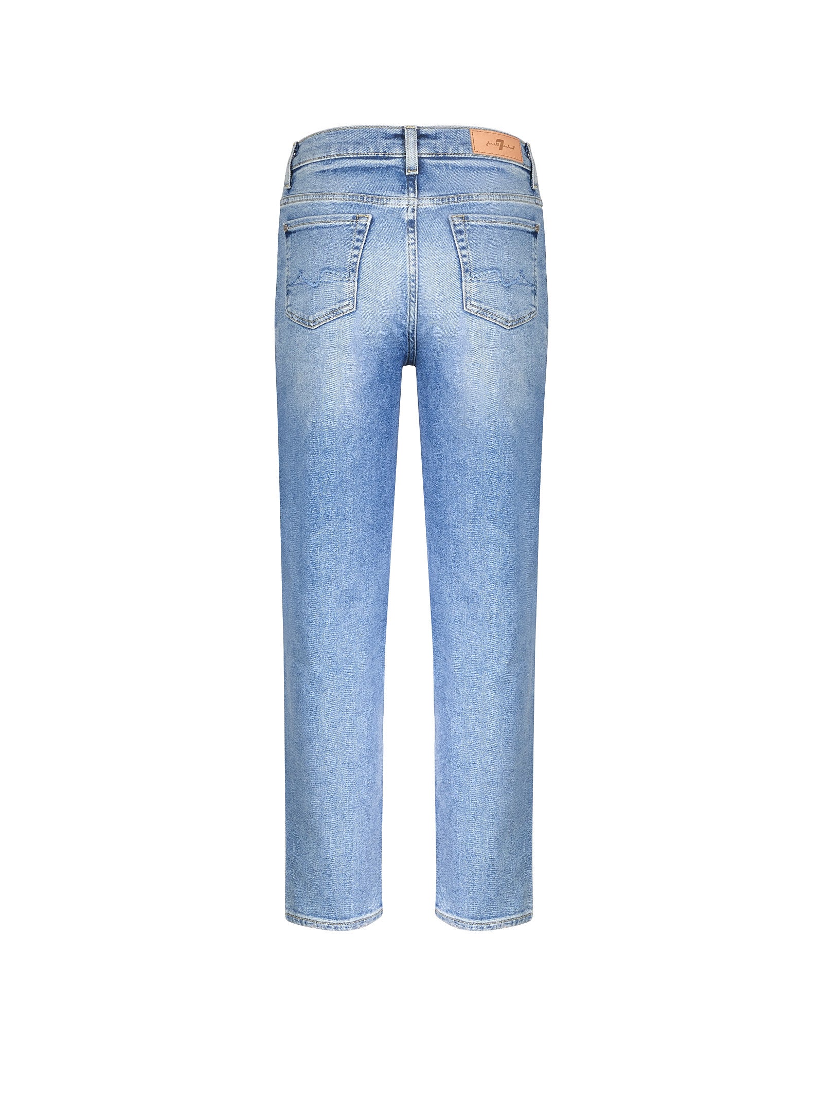 Immagine diapositiva