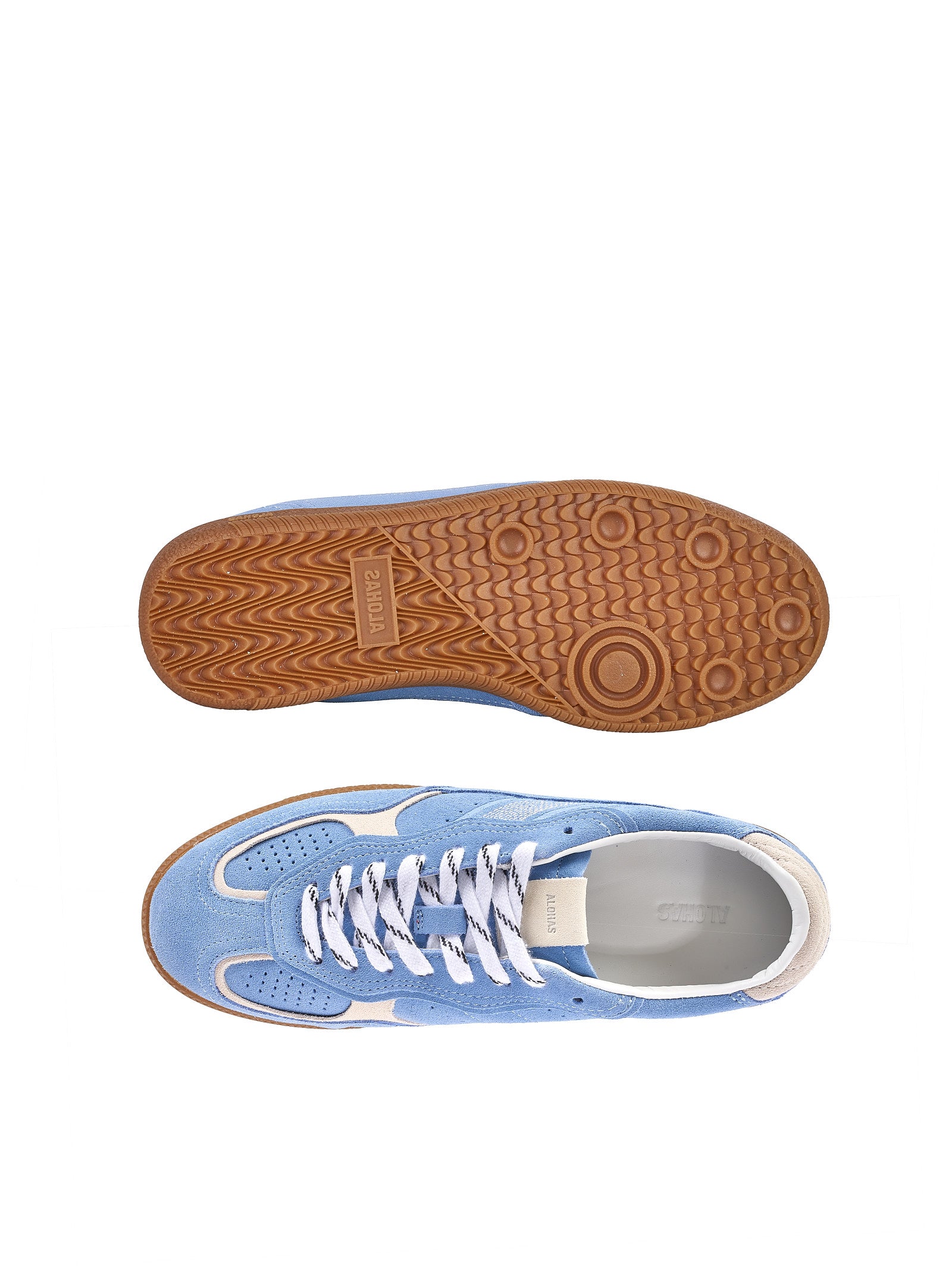 Immagine diapositiva