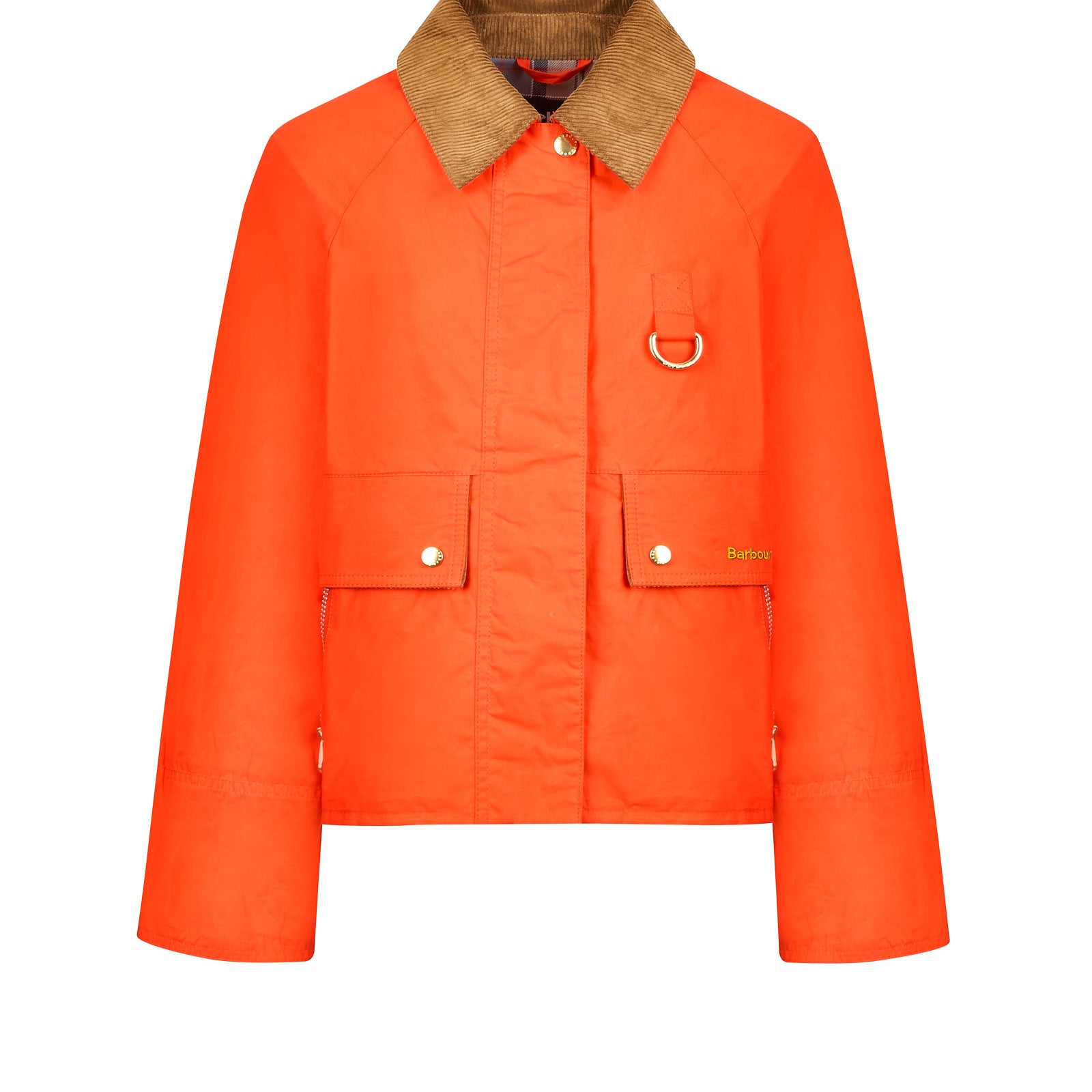 Immagine diapositiva