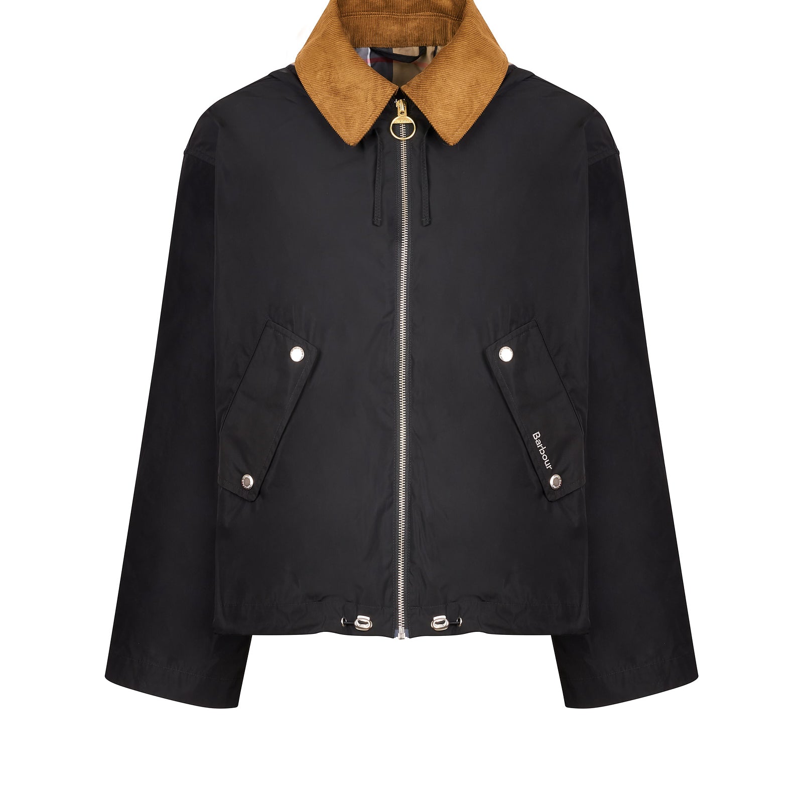 Immagine diapositiva