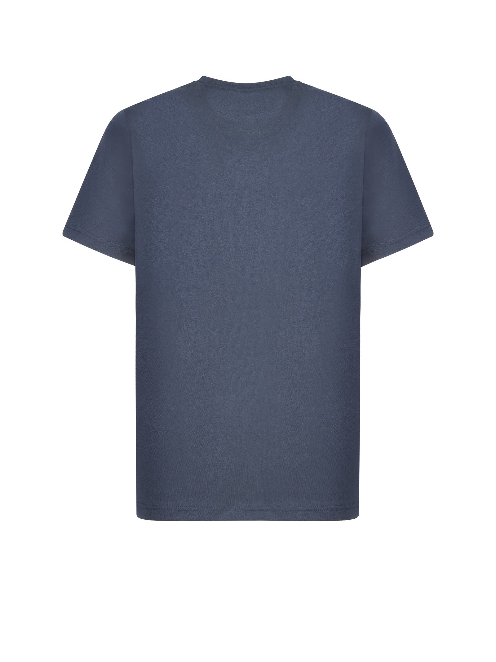 Immagine diapositiva