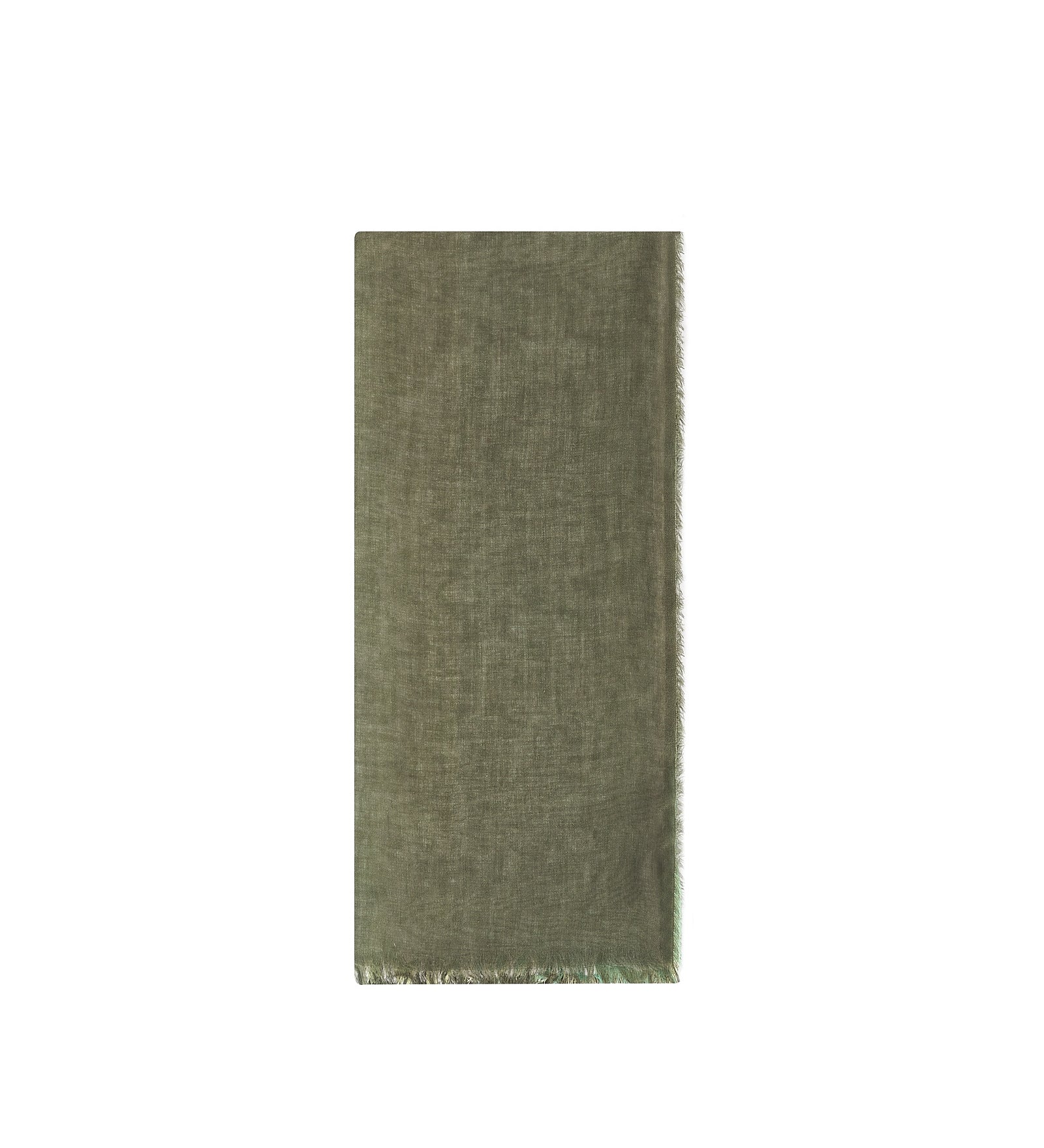 Immagine diapositiva