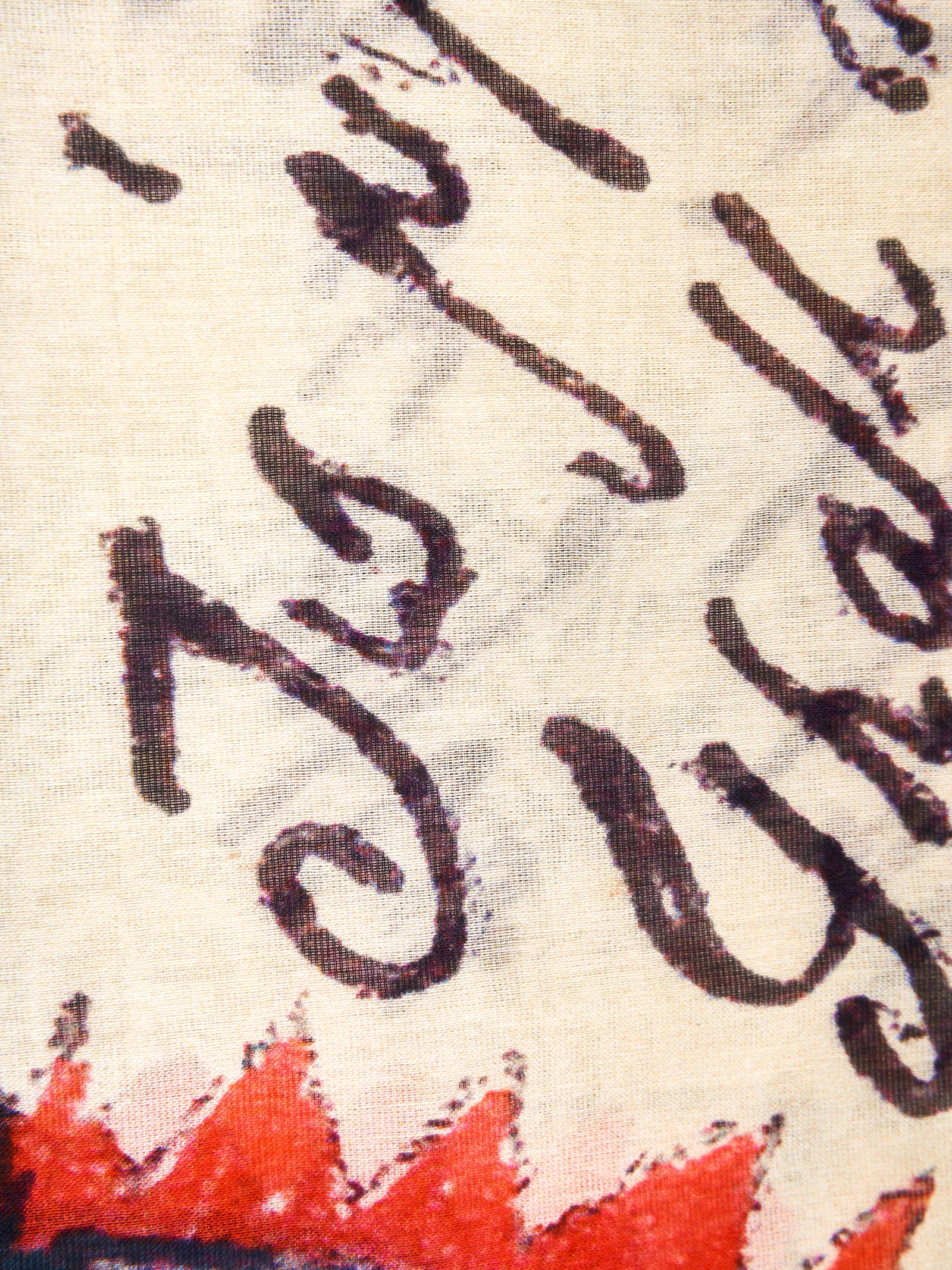 Immagine diapositiva