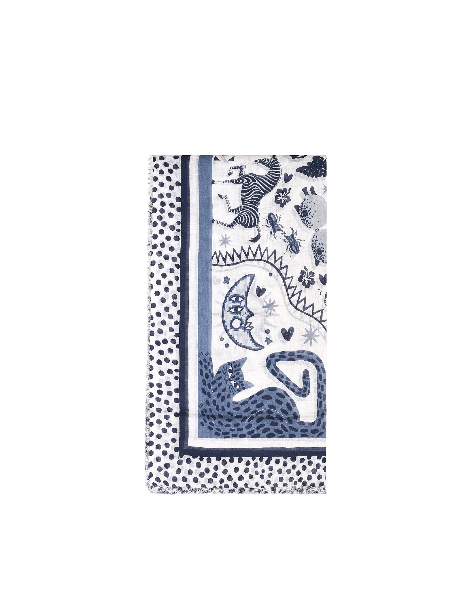 Immagine diapositiva