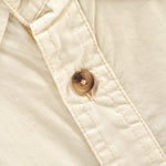 Immagine diapositiva