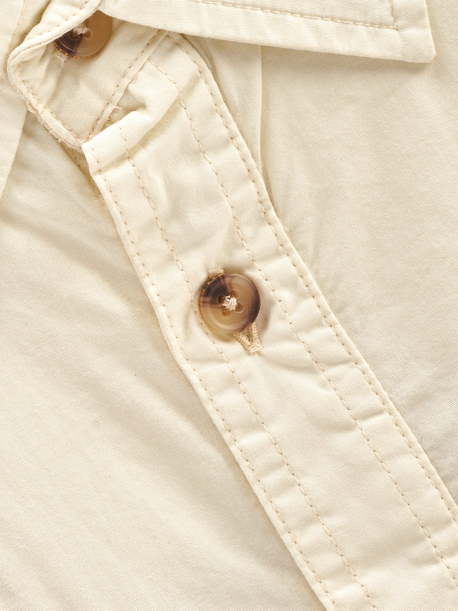 Immagine diapositiva