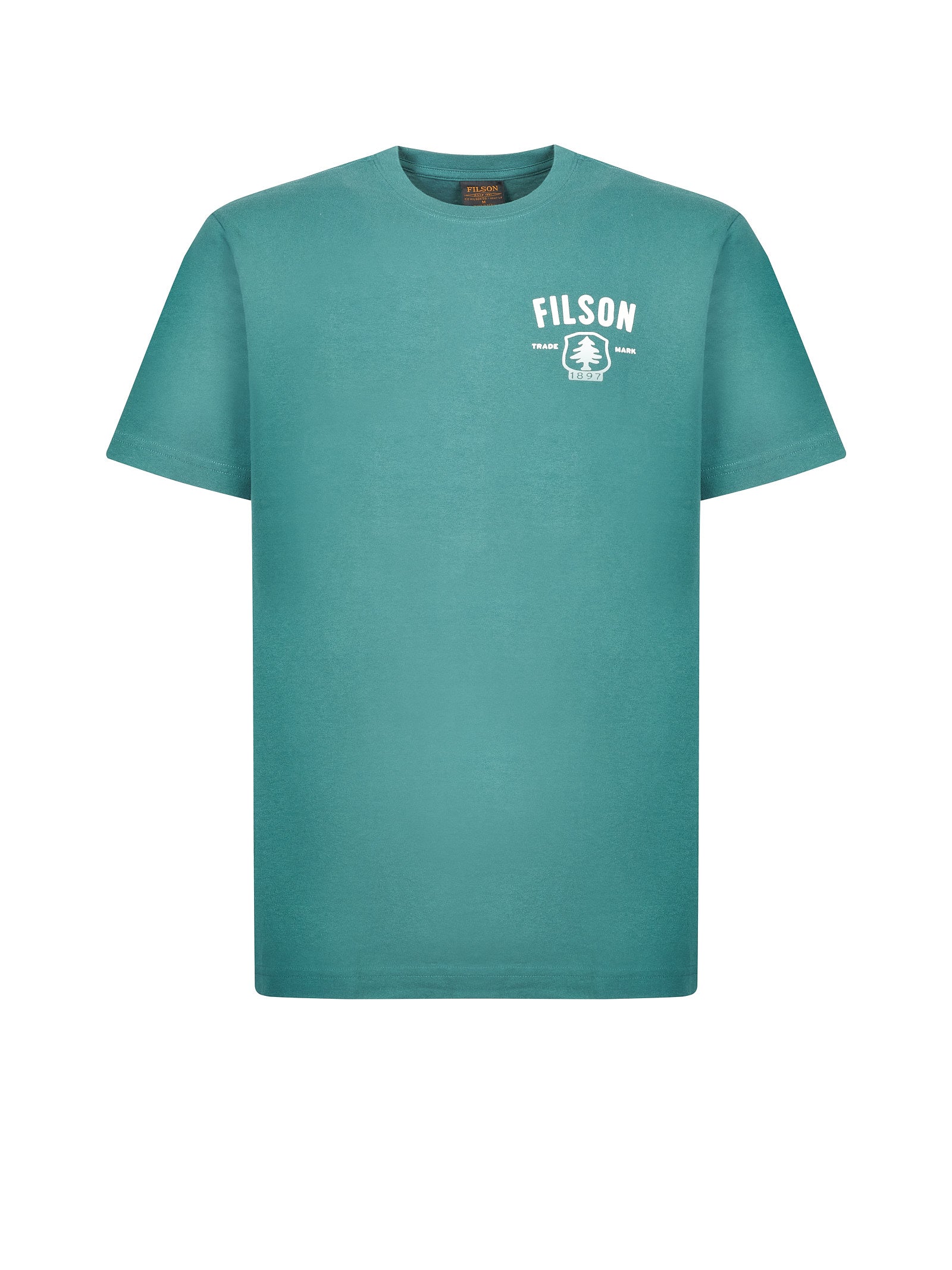 Immagine diapositiva