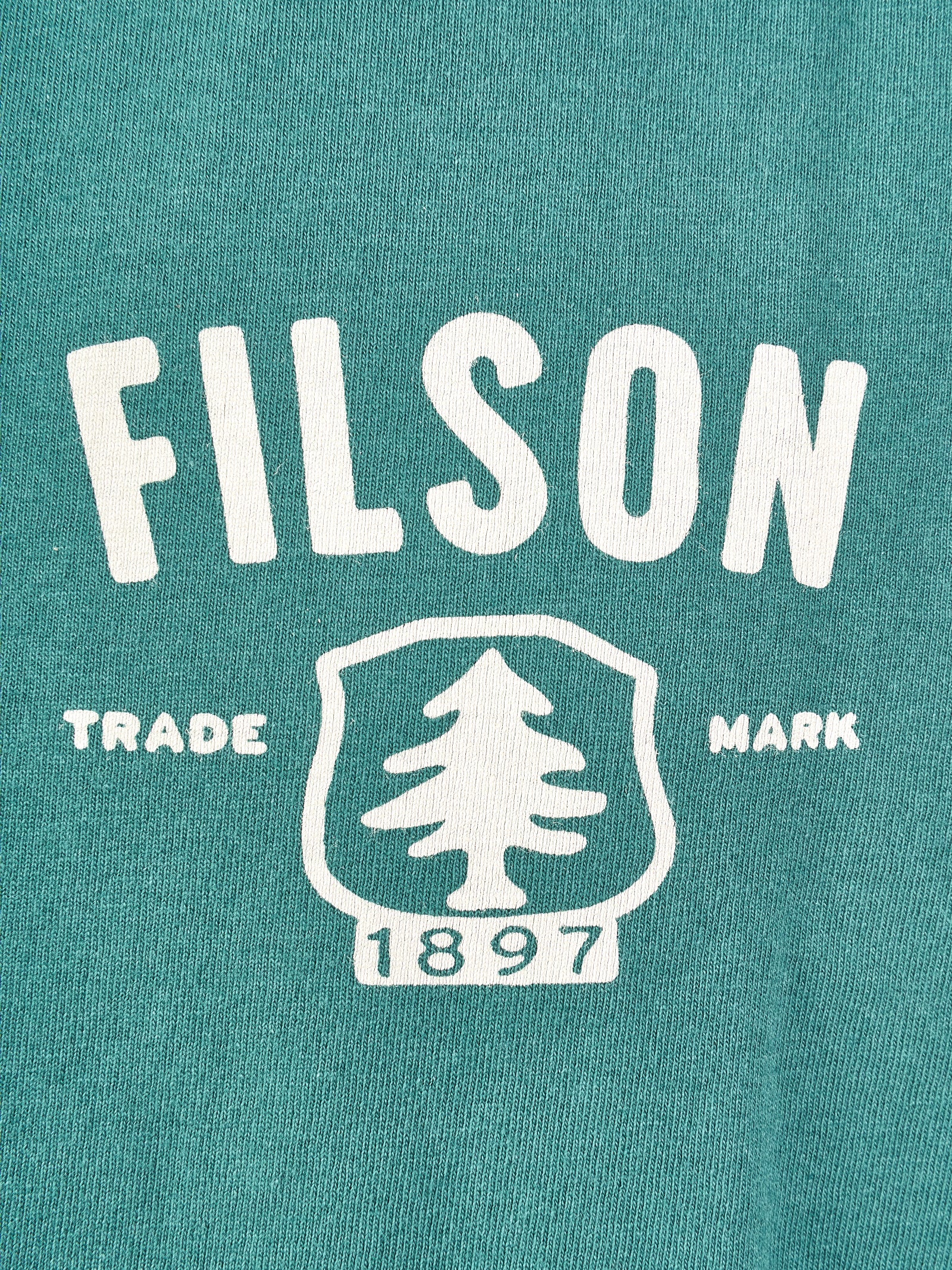 Immagine diapositiva