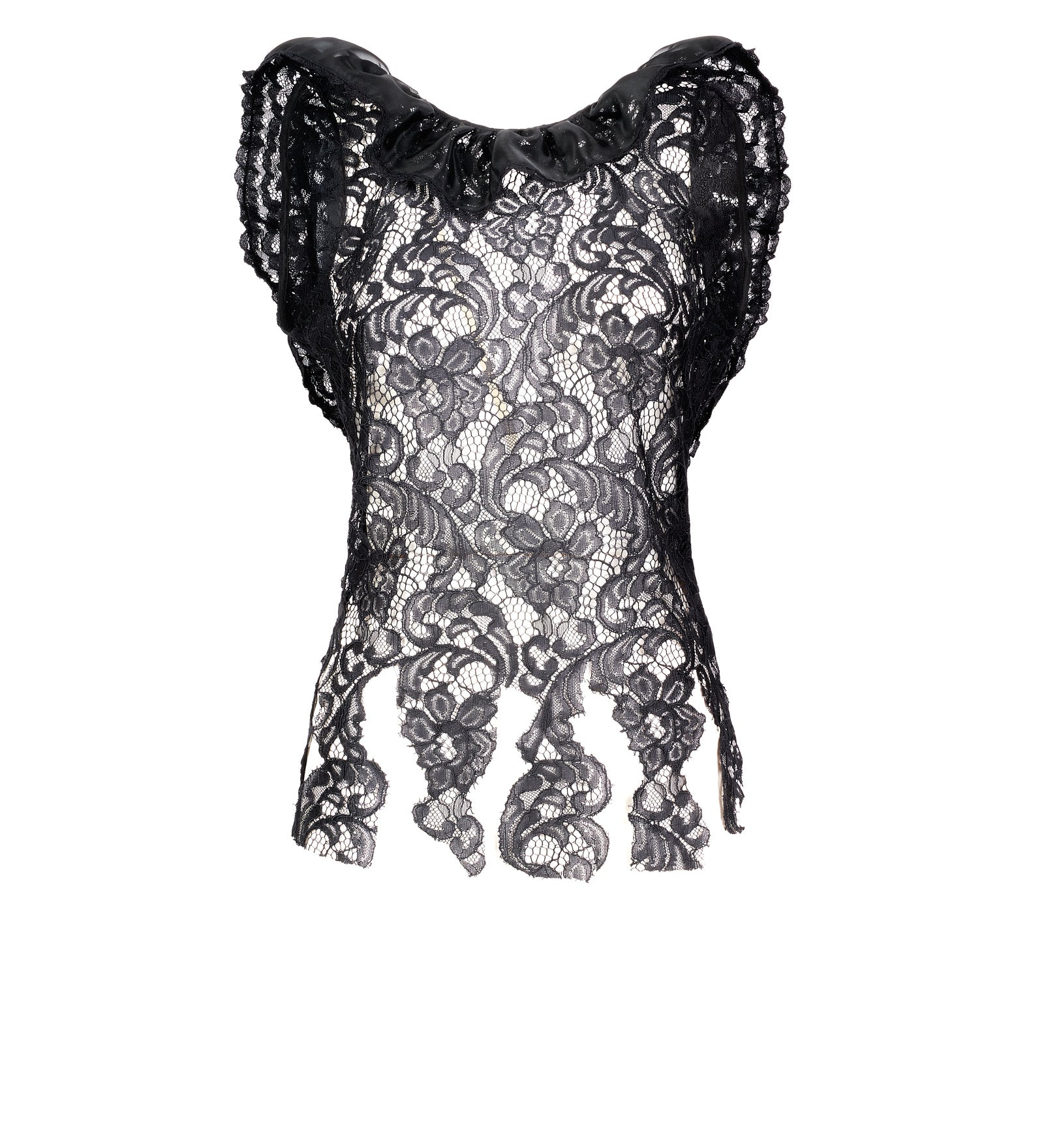 Immagine diapositiva