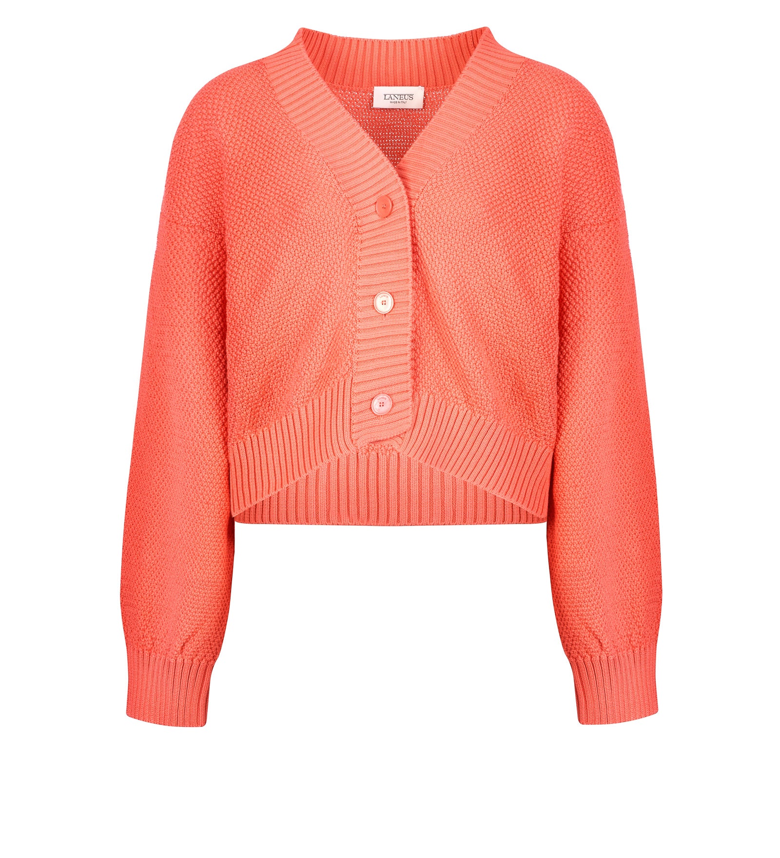 Immagine diapositiva