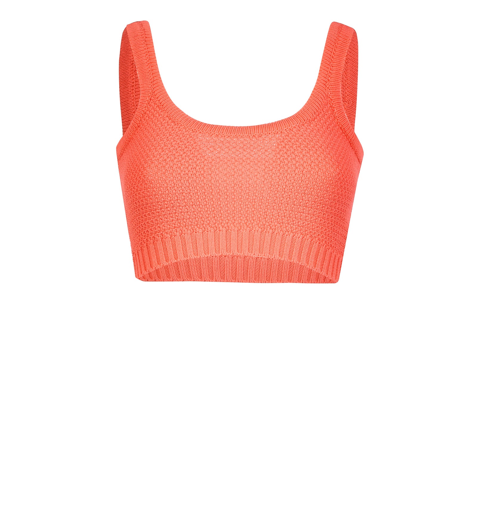 Immagine diapositiva