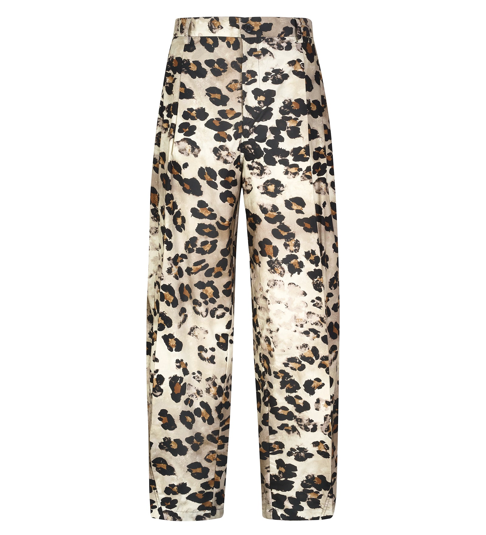 Immagine diapositiva