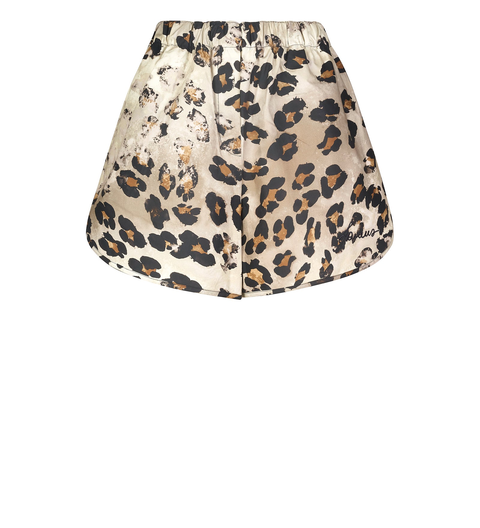 Immagine diapositiva