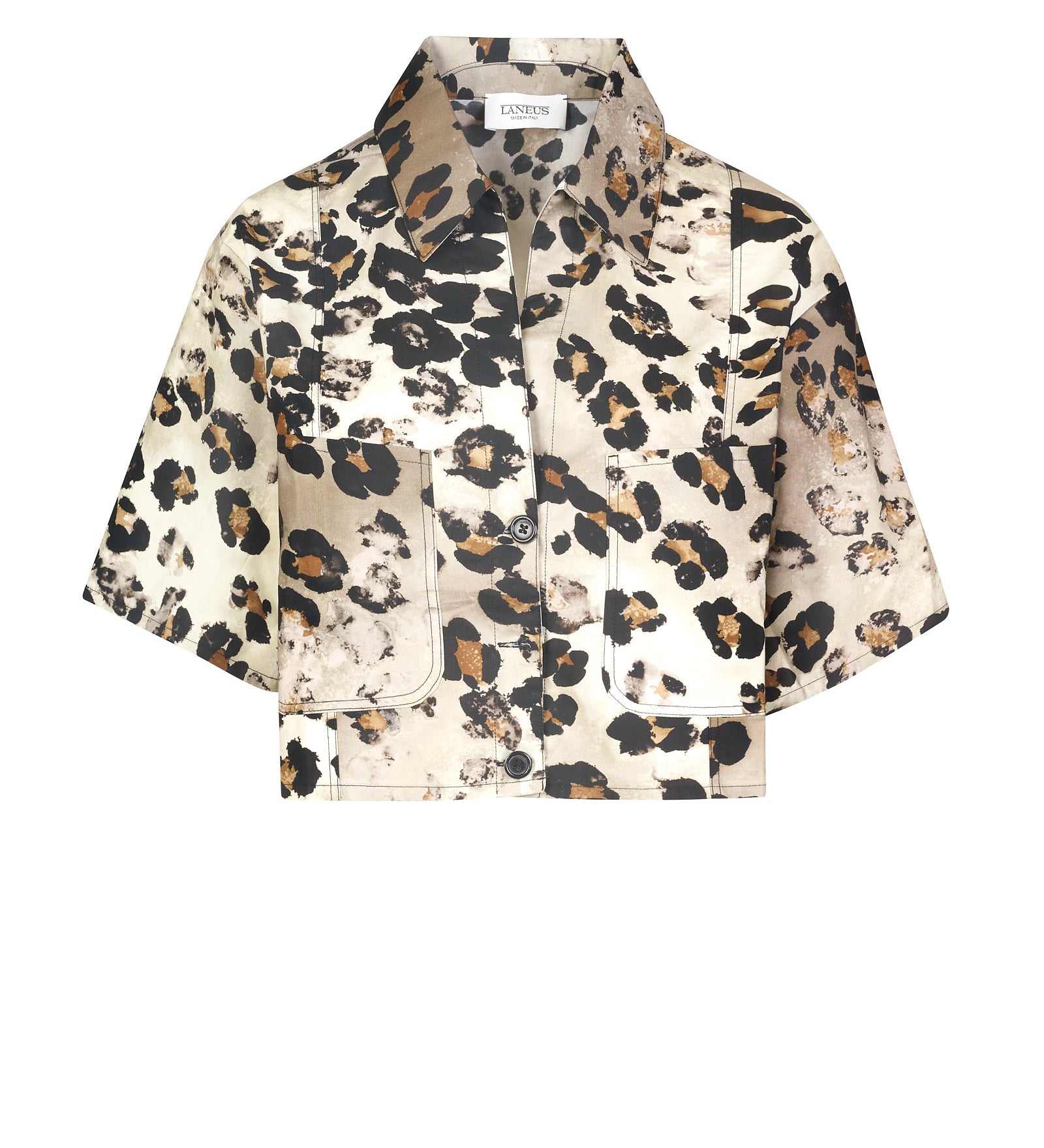 Immagine diapositiva