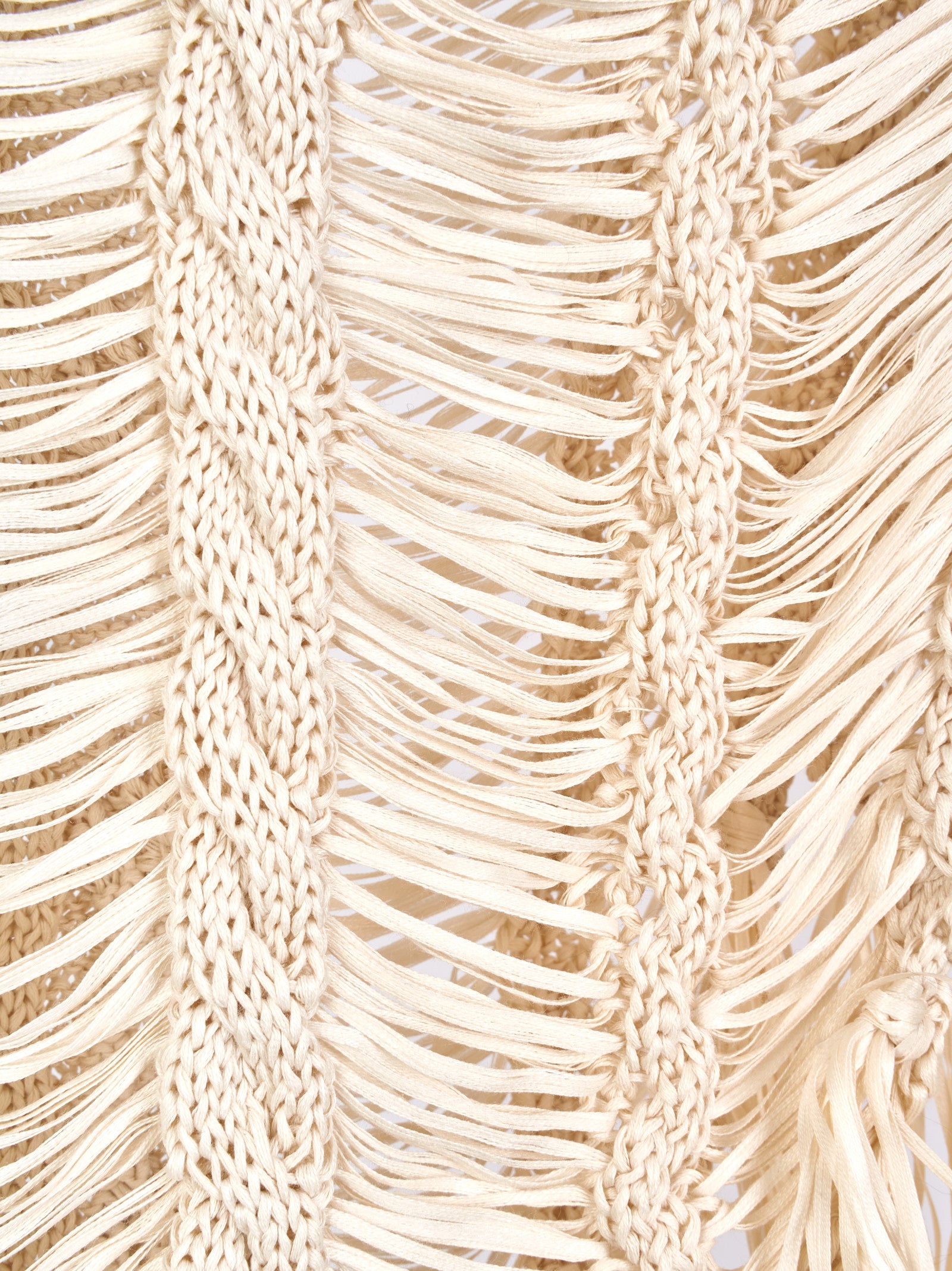 Immagine diapositiva