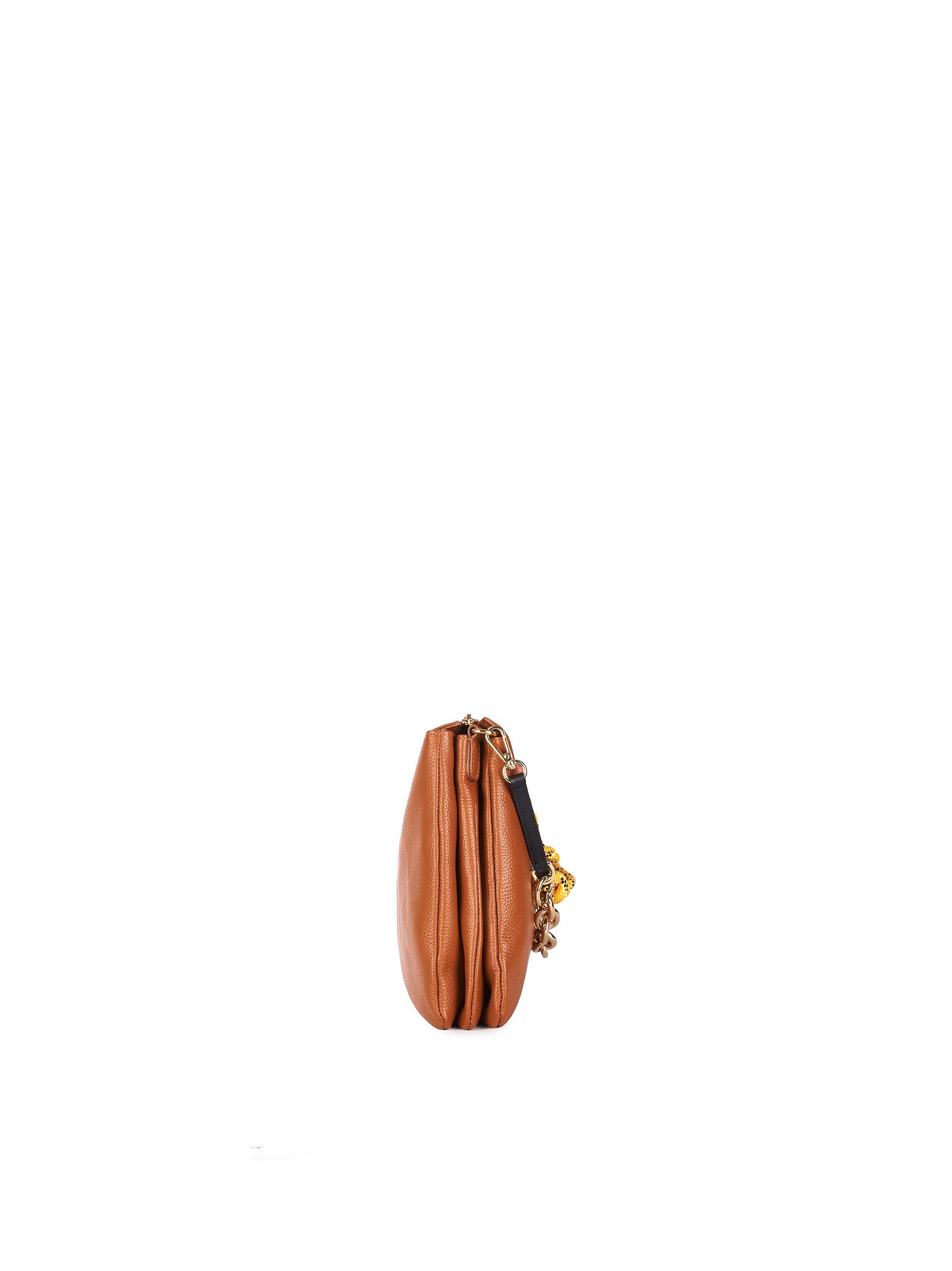Immagine diapositiva