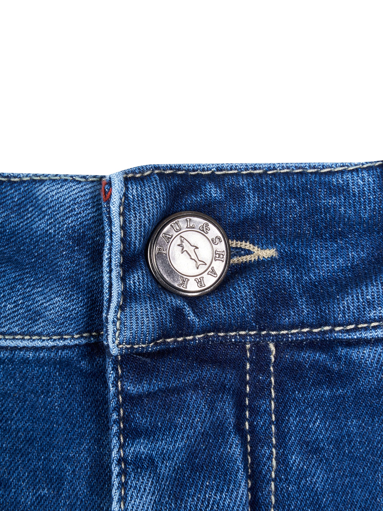 Immagine diapositiva