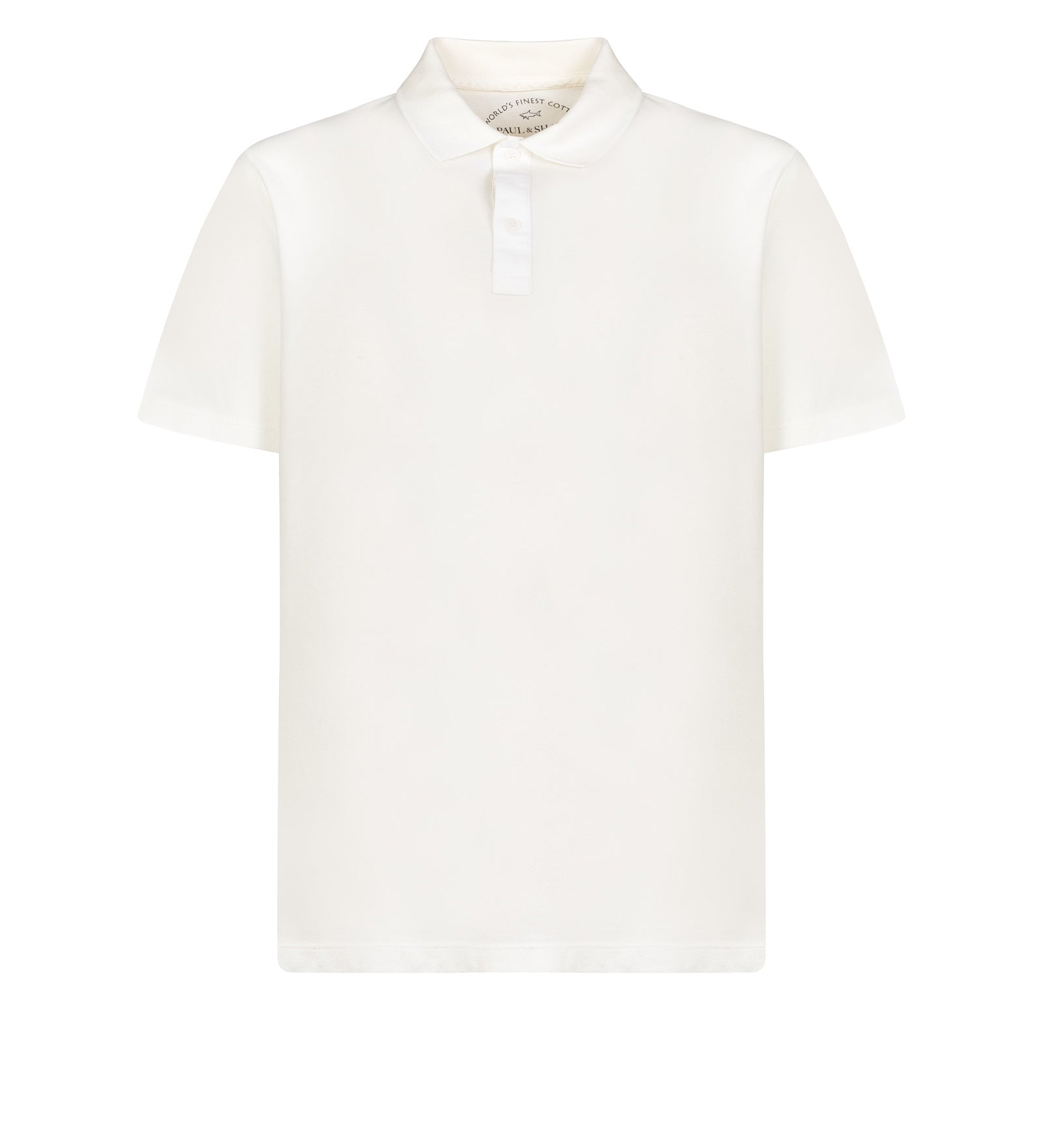 Immagine diapositiva