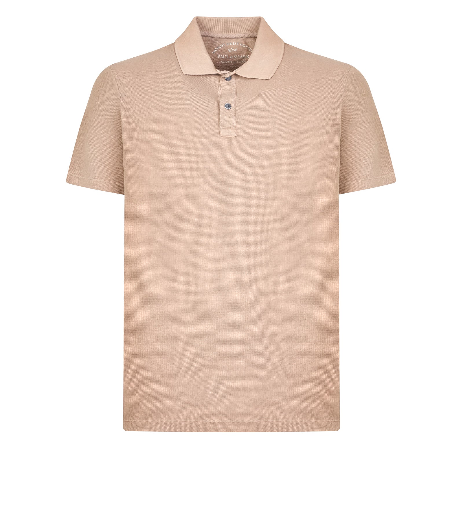 Immagine diapositiva