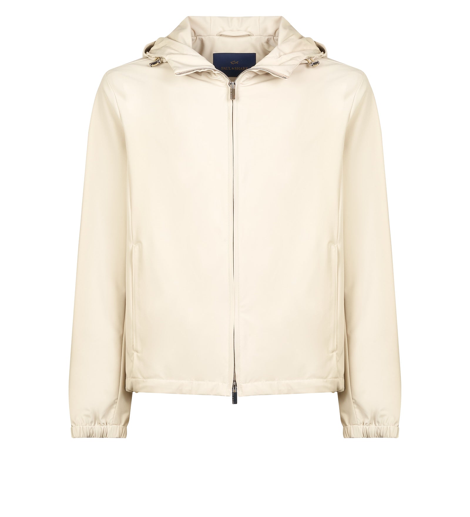 Immagine diapositiva