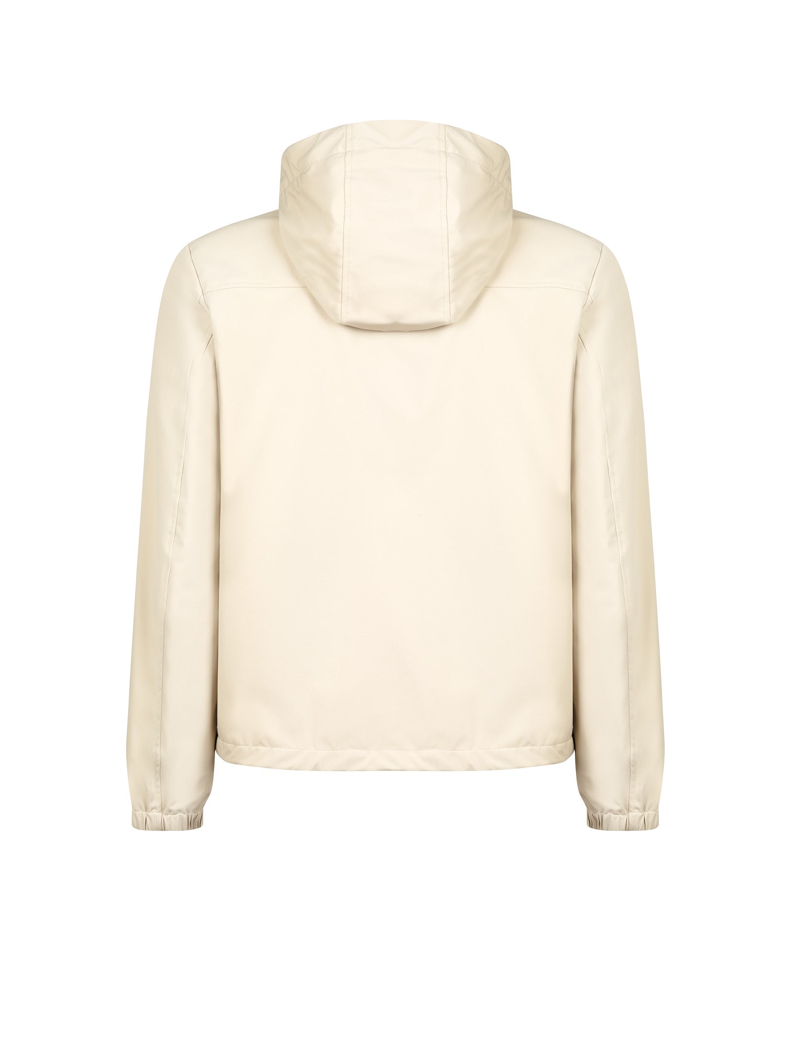 Immagine diapositiva