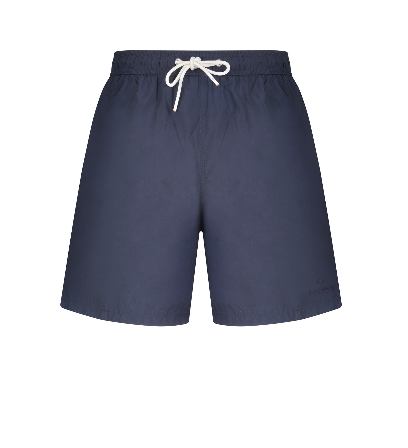 Immagine diapositiva