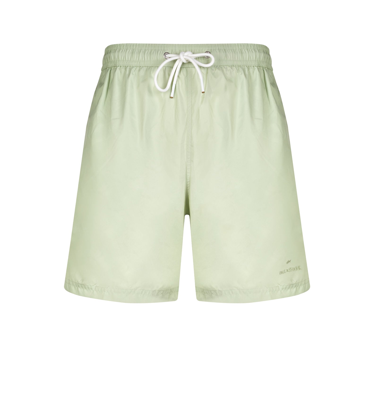 Immagine diapositiva