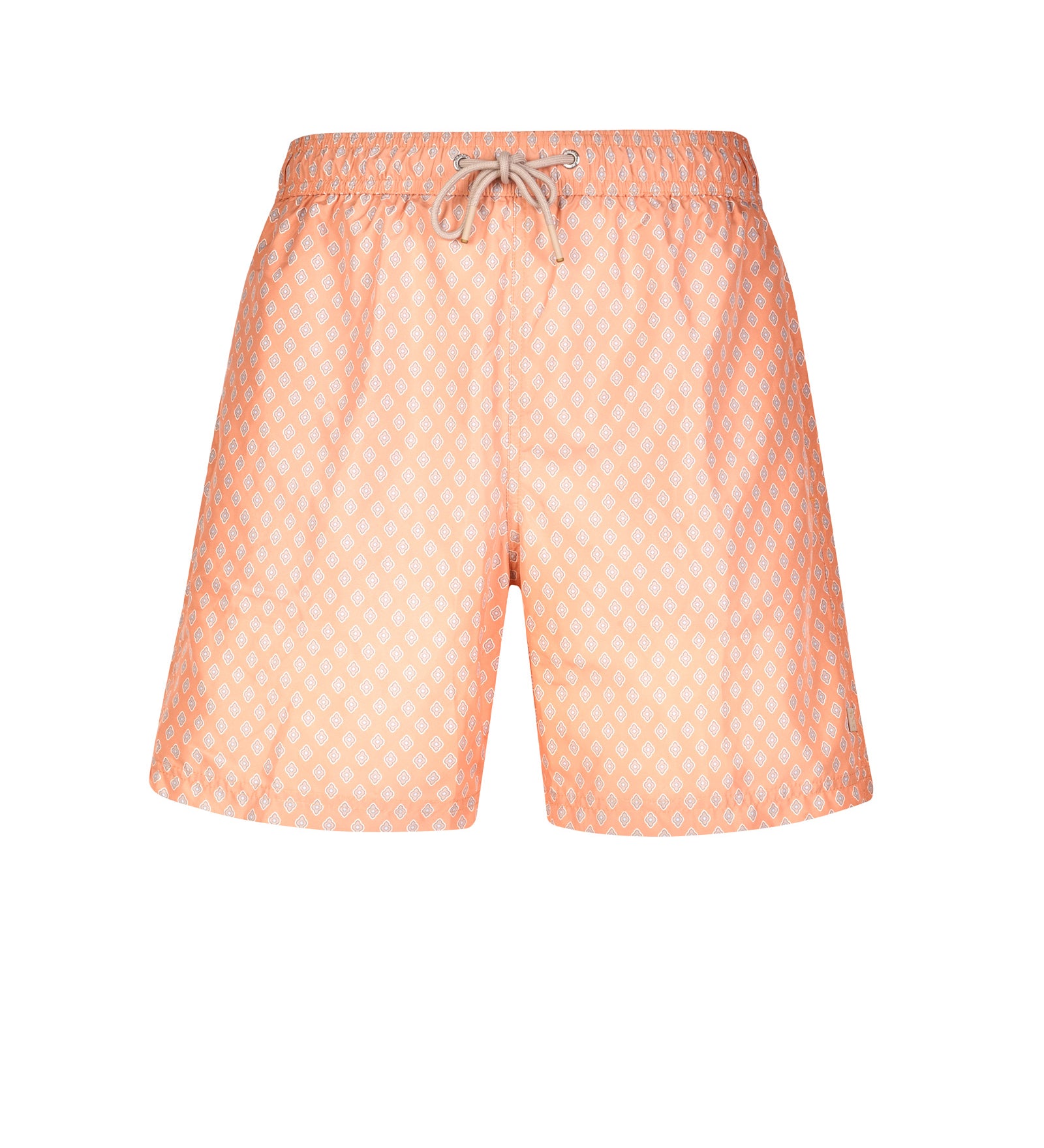 Immagine diapositiva