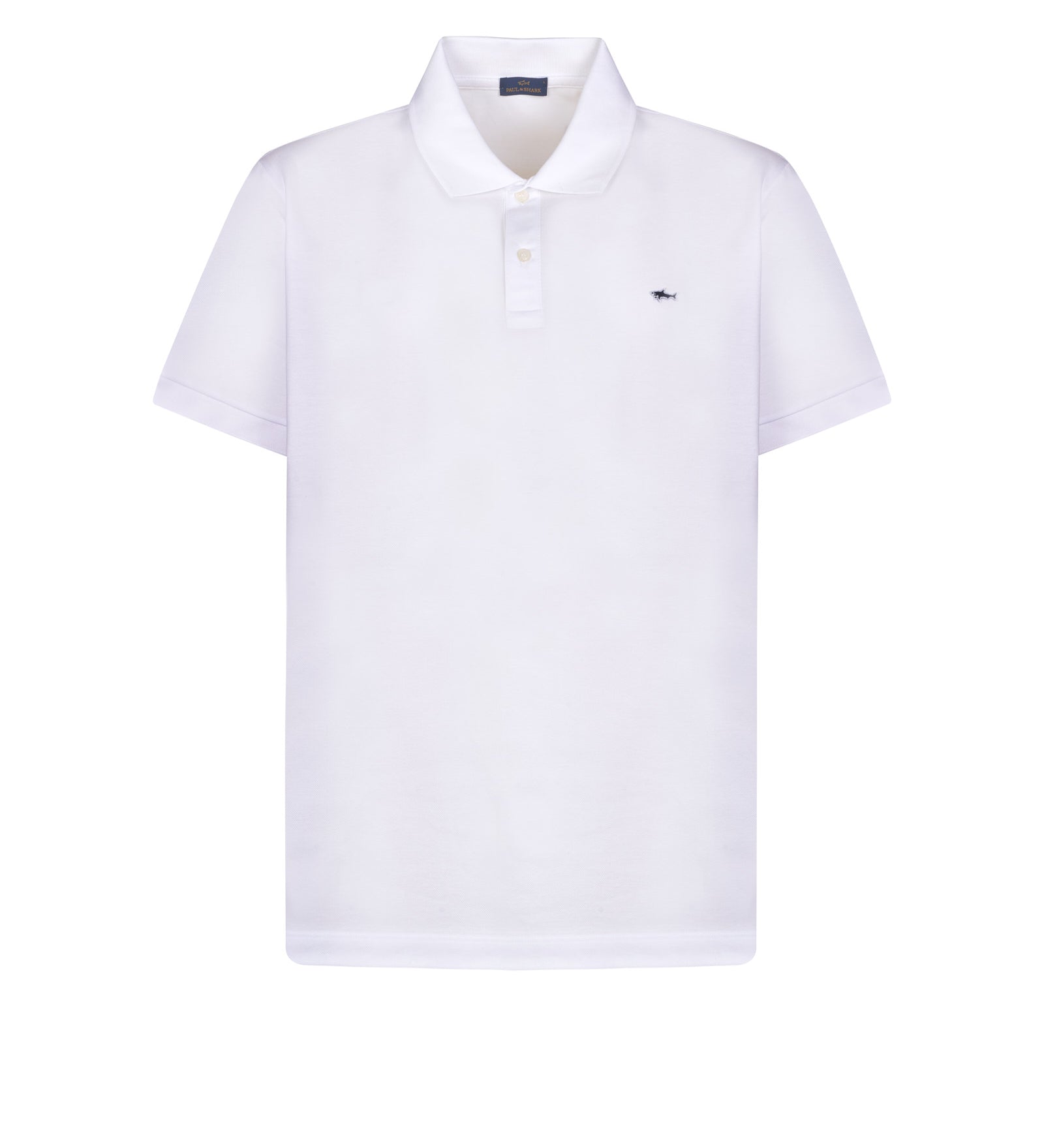 Immagine diapositiva