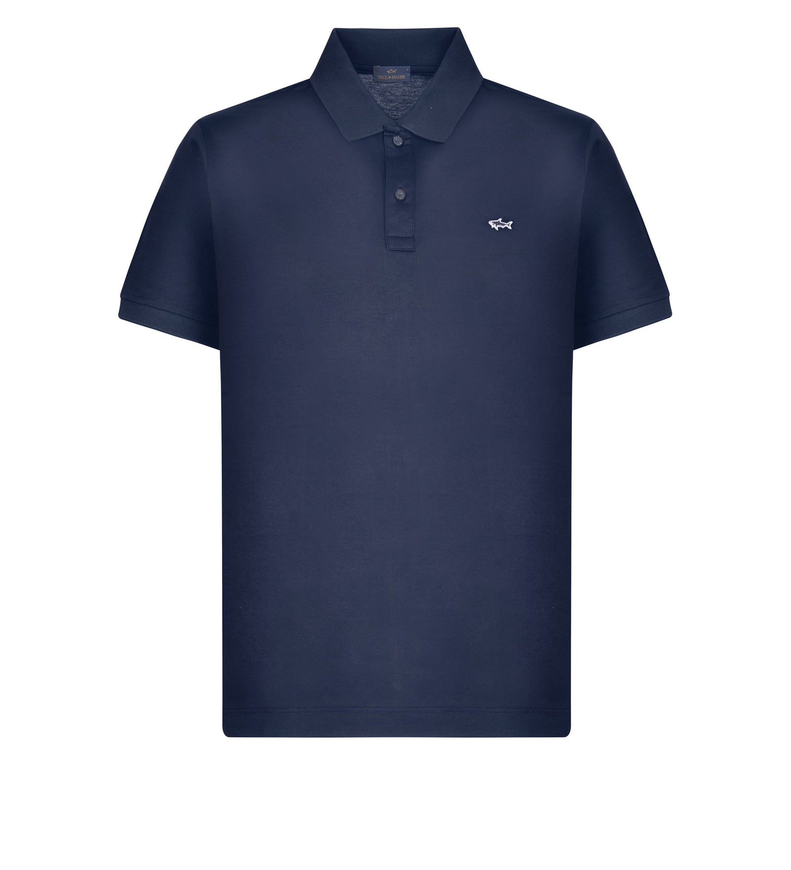 Immagine diapositiva