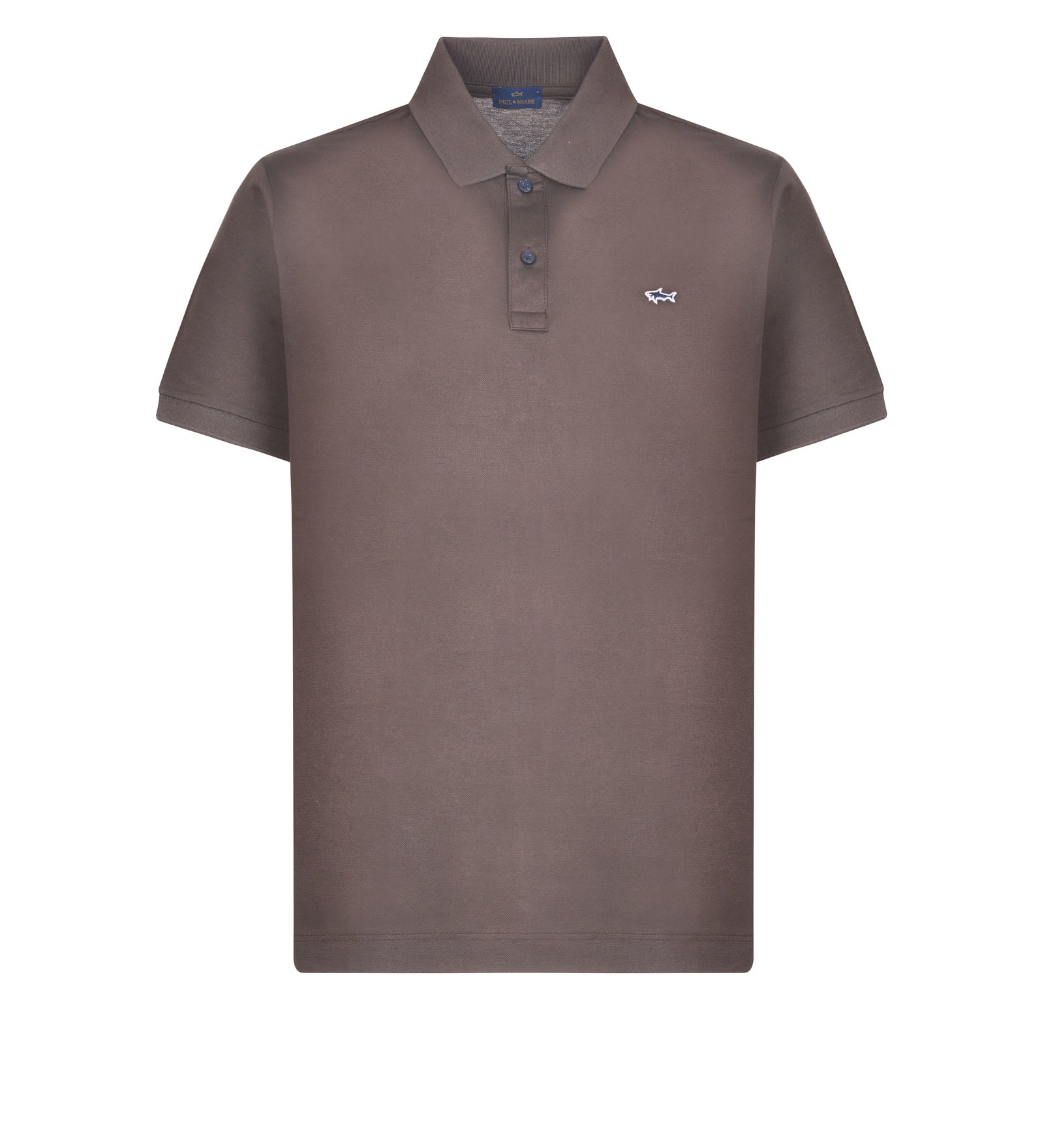 Immagine diapositiva