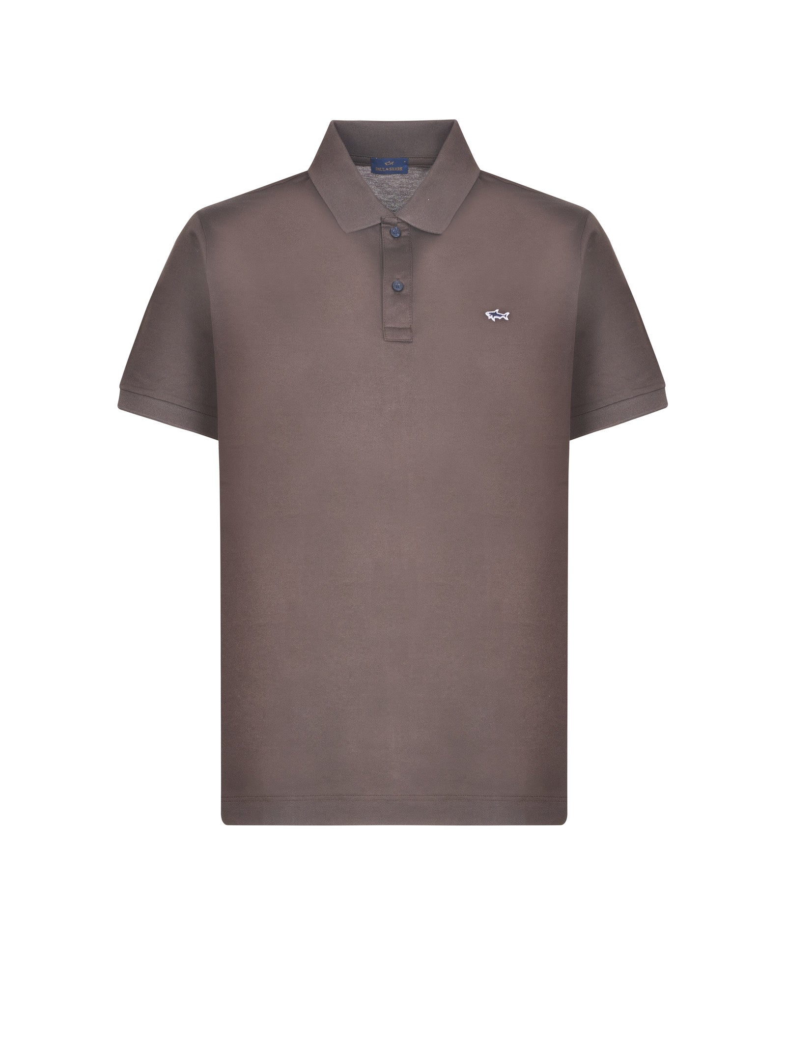 Immagine diapositiva