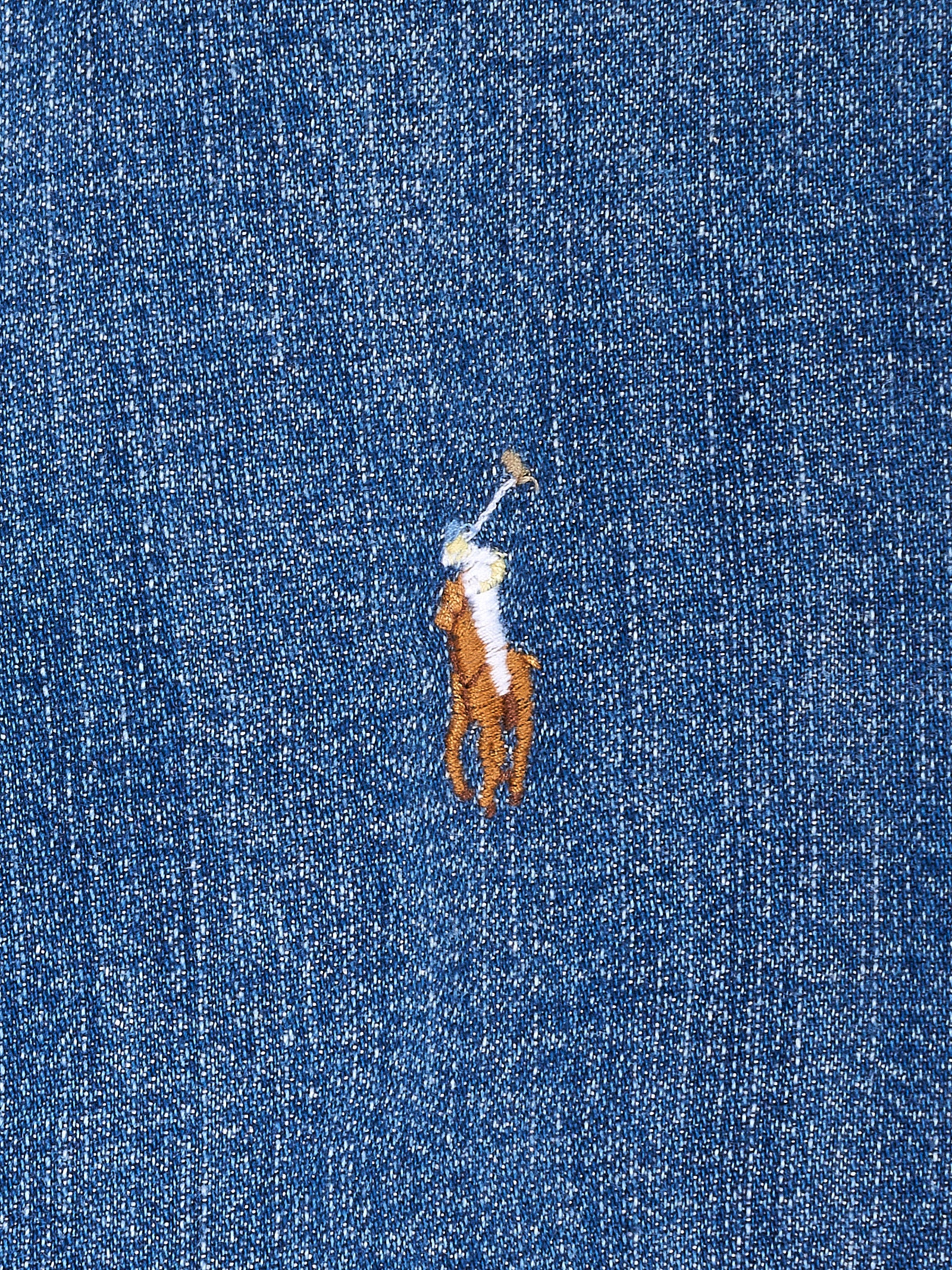 Immagine diapositiva