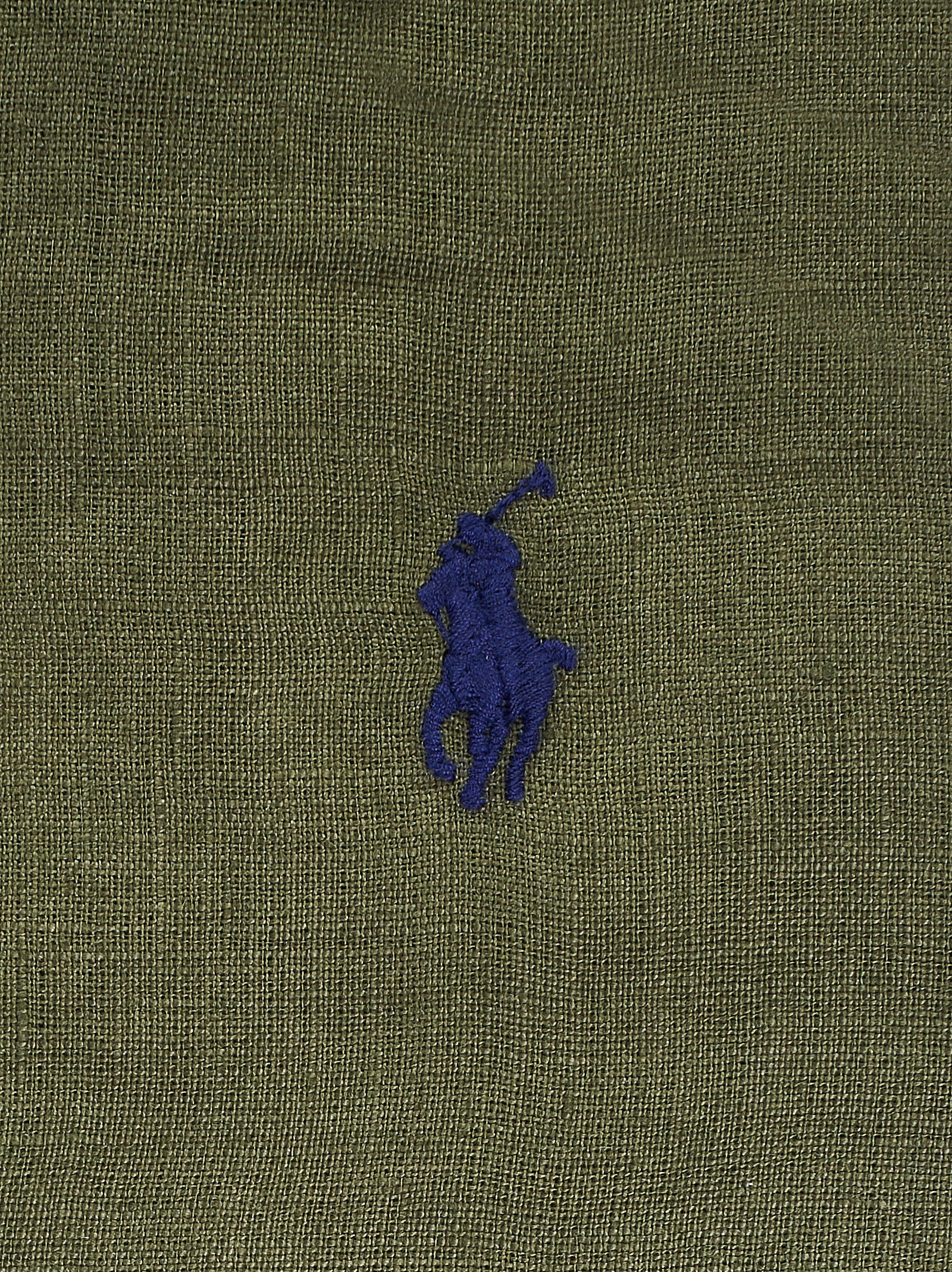 Immagine diapositiva