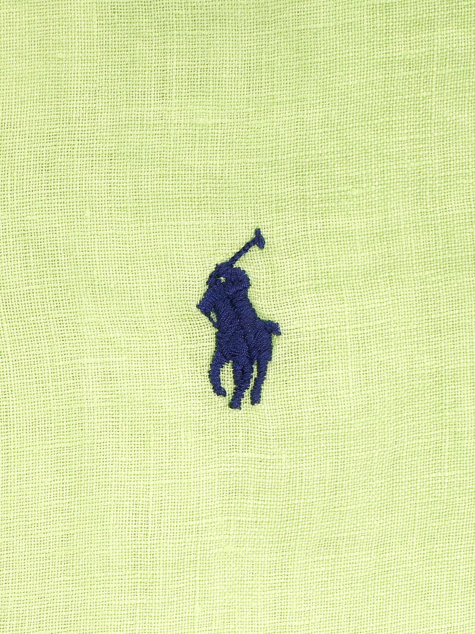 Immagine diapositiva