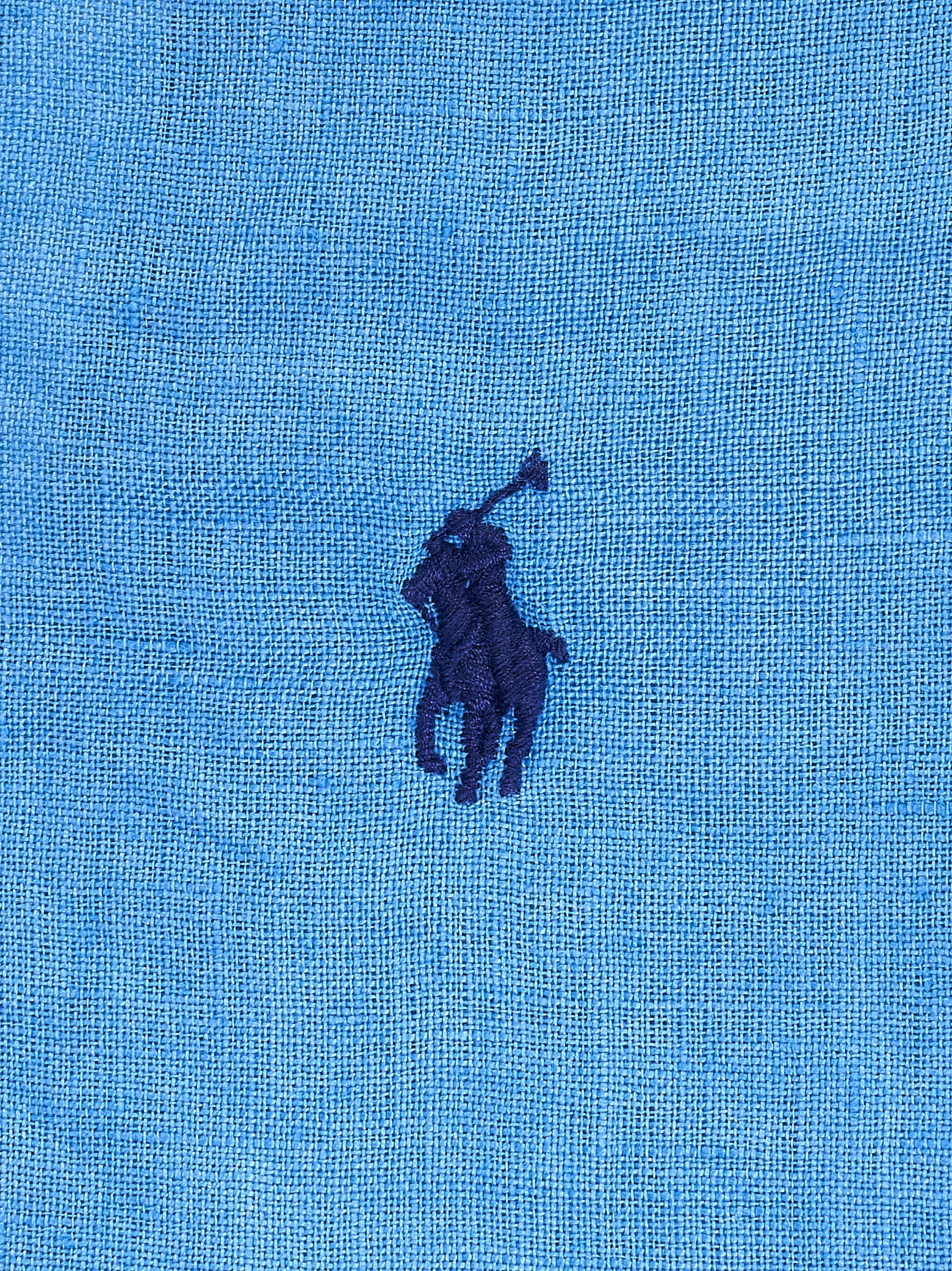 Immagine diapositiva