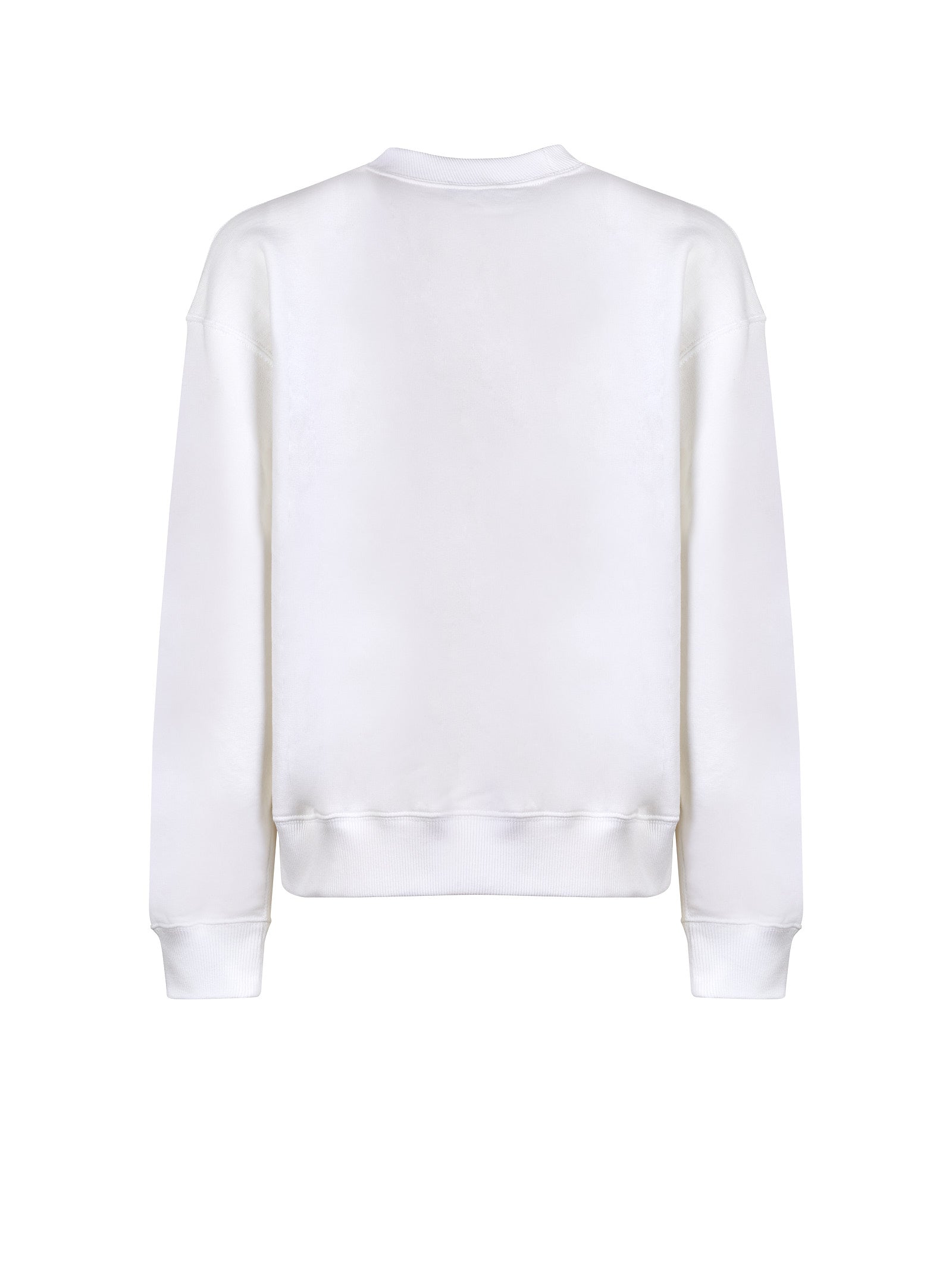 Immagine diapositiva