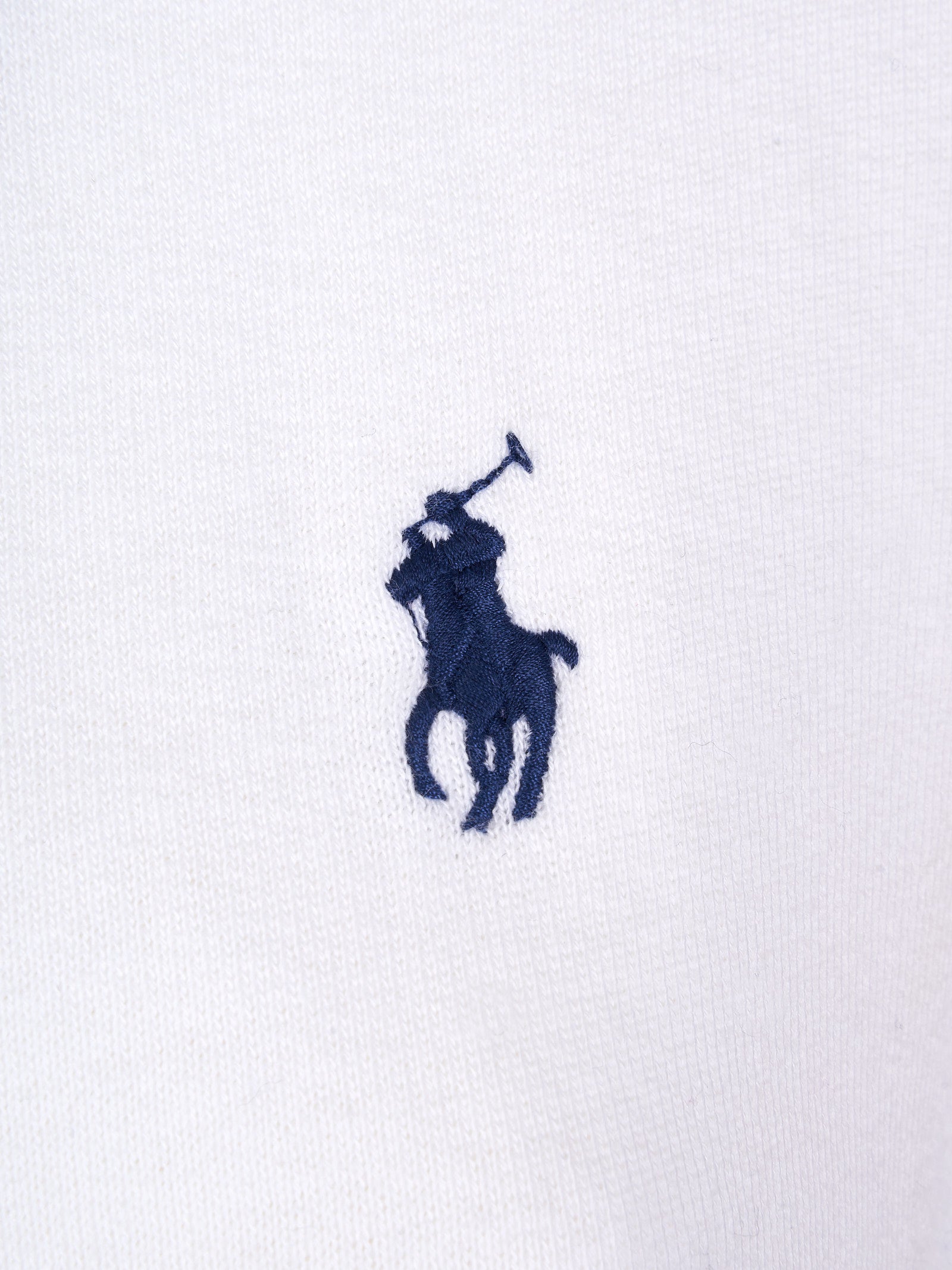 Immagine diapositiva