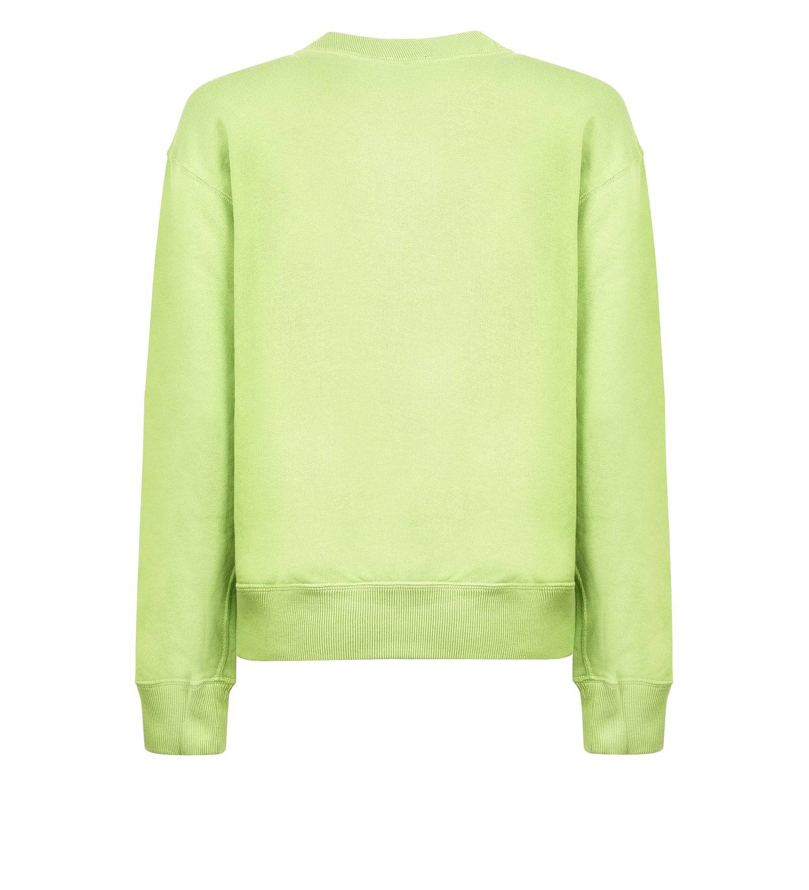 Felpa POLO RALPH LAUREN
Parakeet green