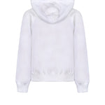 Immagine diapositiva