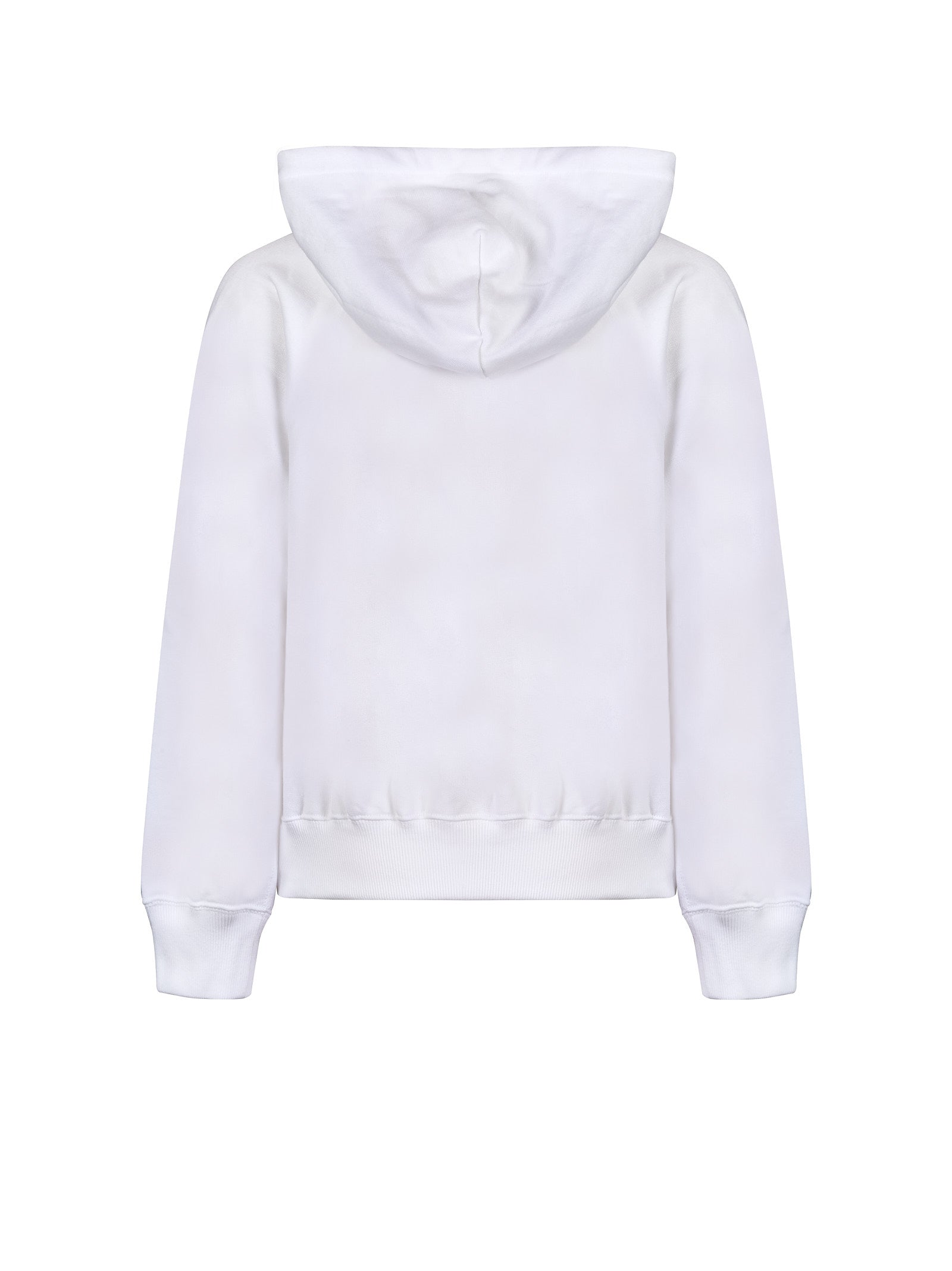 Immagine diapositiva