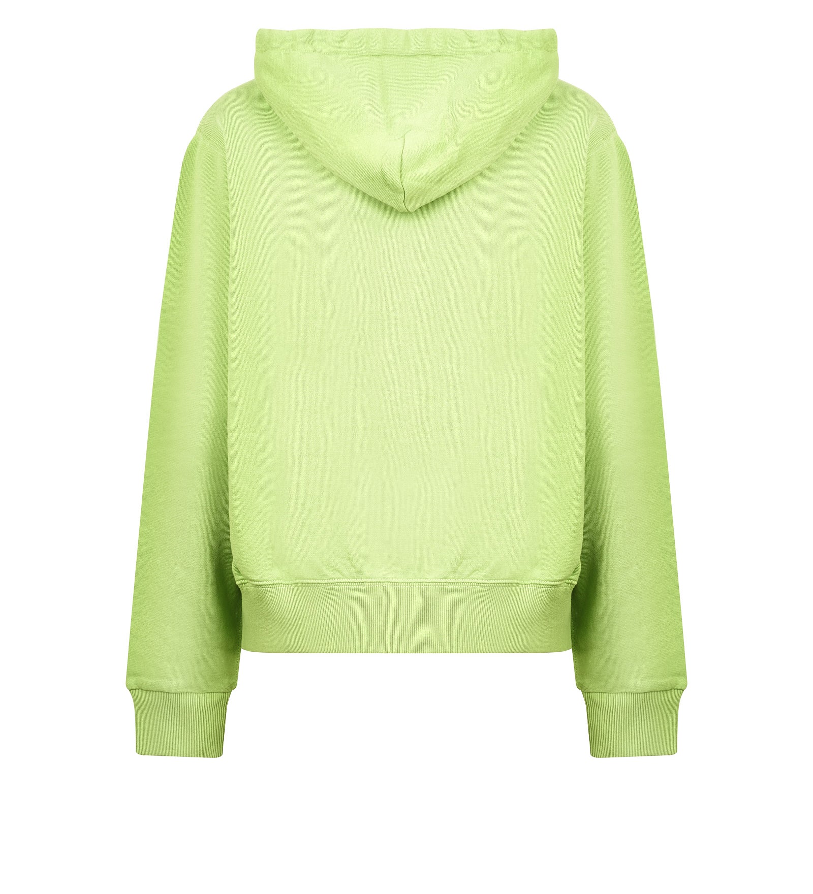 Felpa POLO RALPH LAUREN Zip con cappuccio
Parakeet green