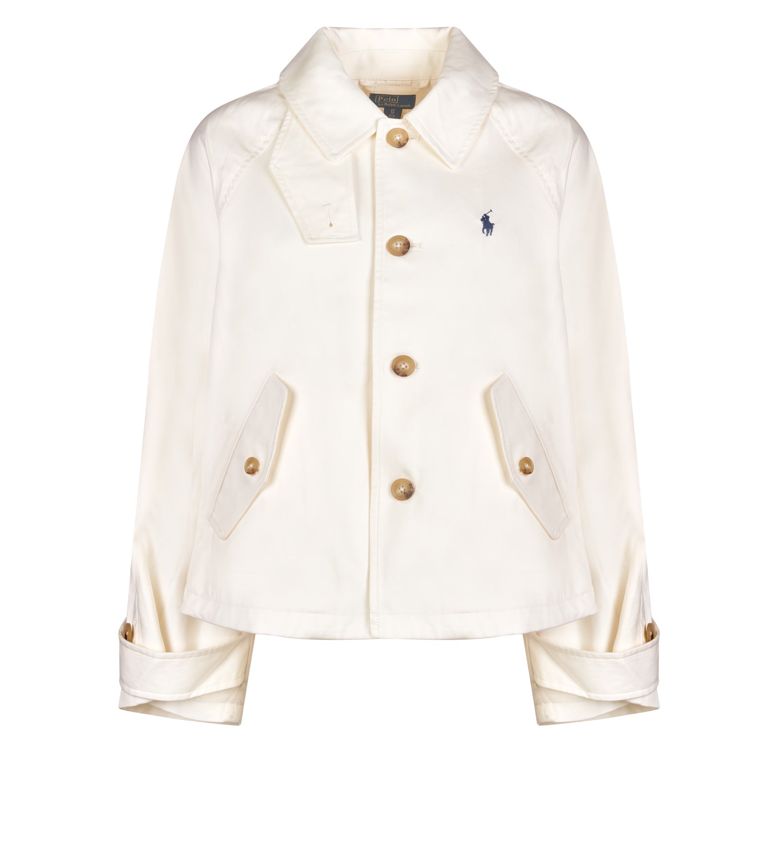 Immagine diapositiva