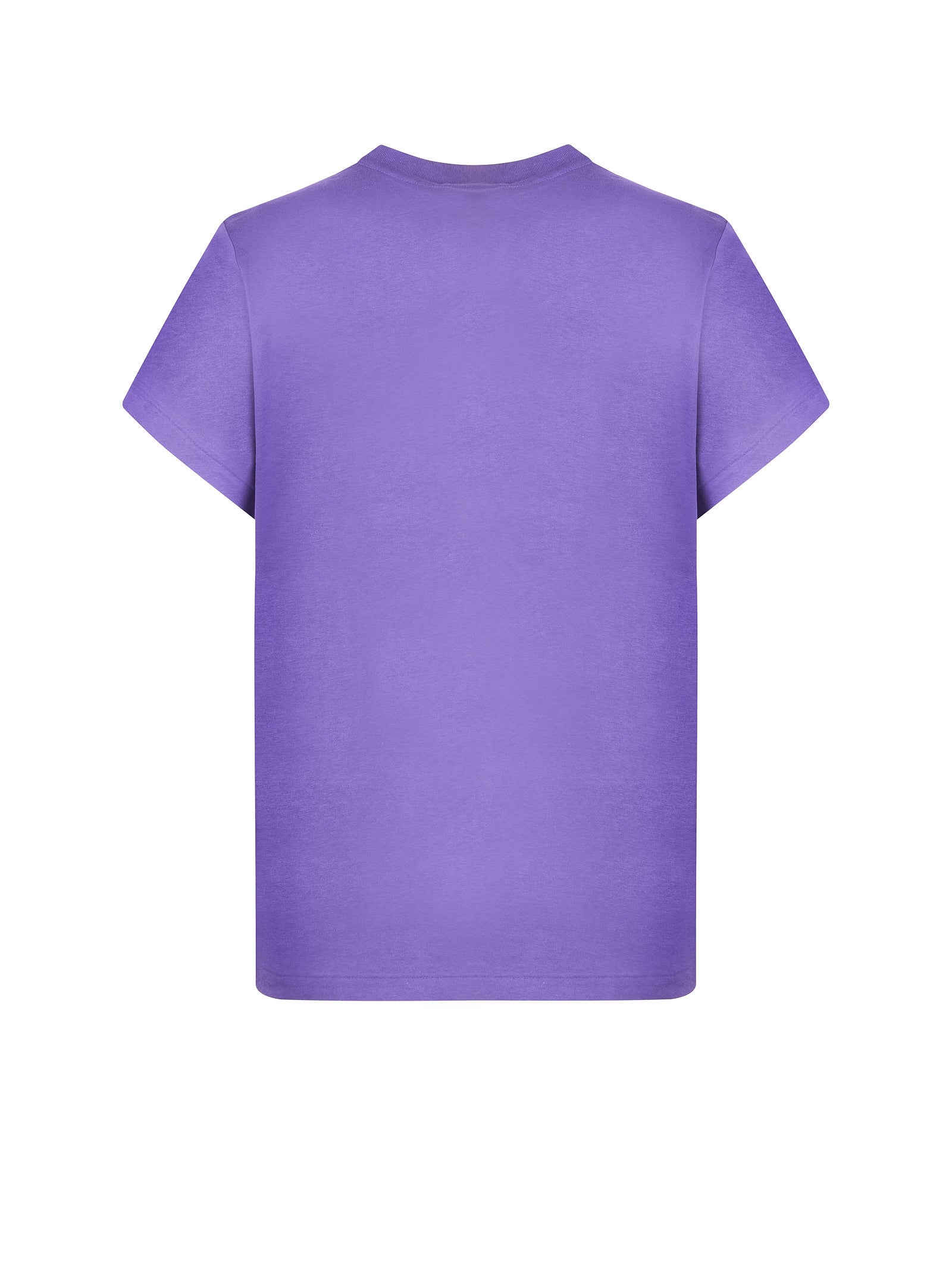 Immagine diapositiva