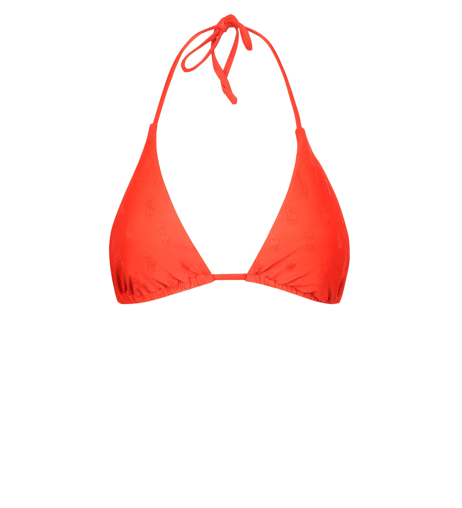 Immagine diapositiva